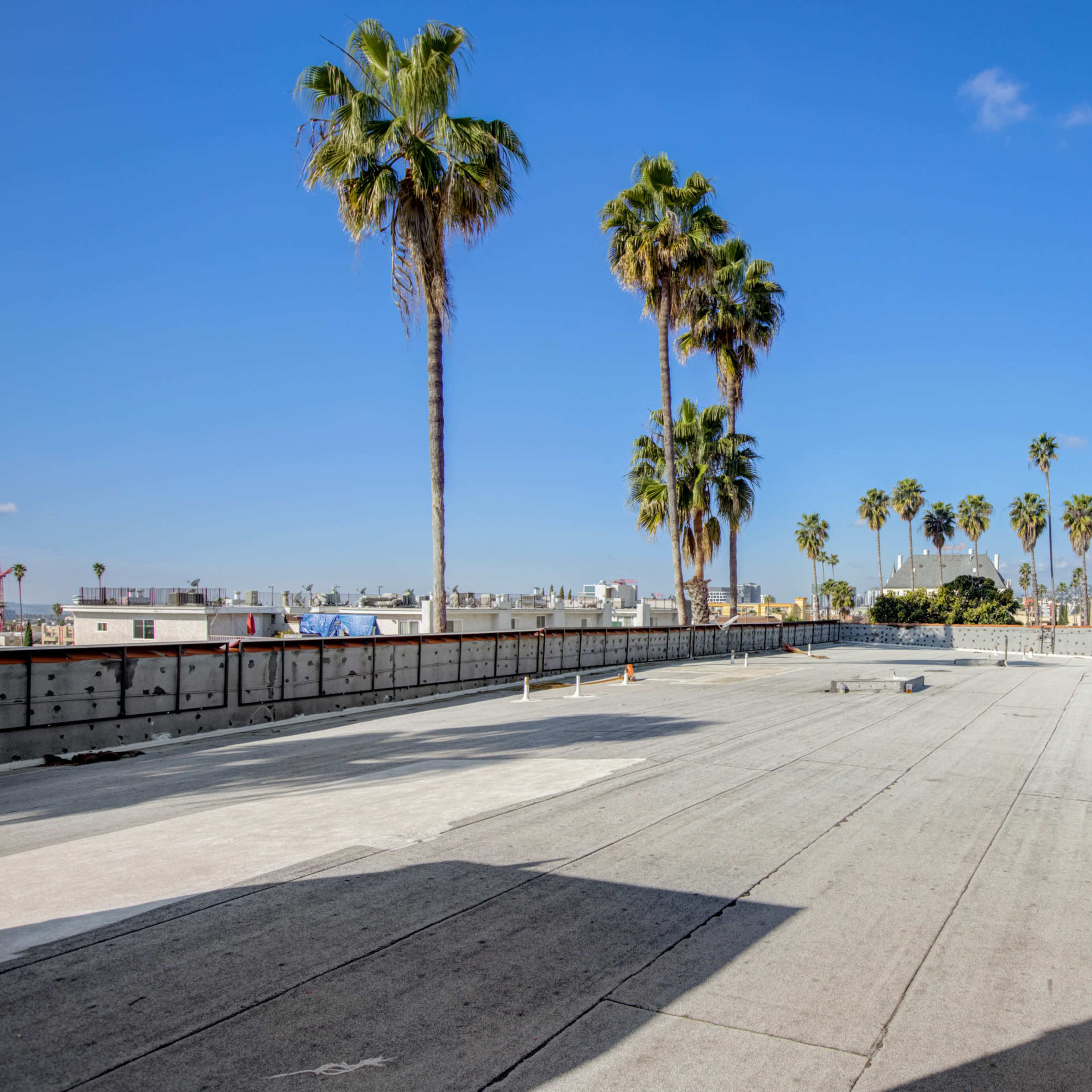 A vacant construction site with a flat concrete surface surrounded by palm trees under a clear blue sky.