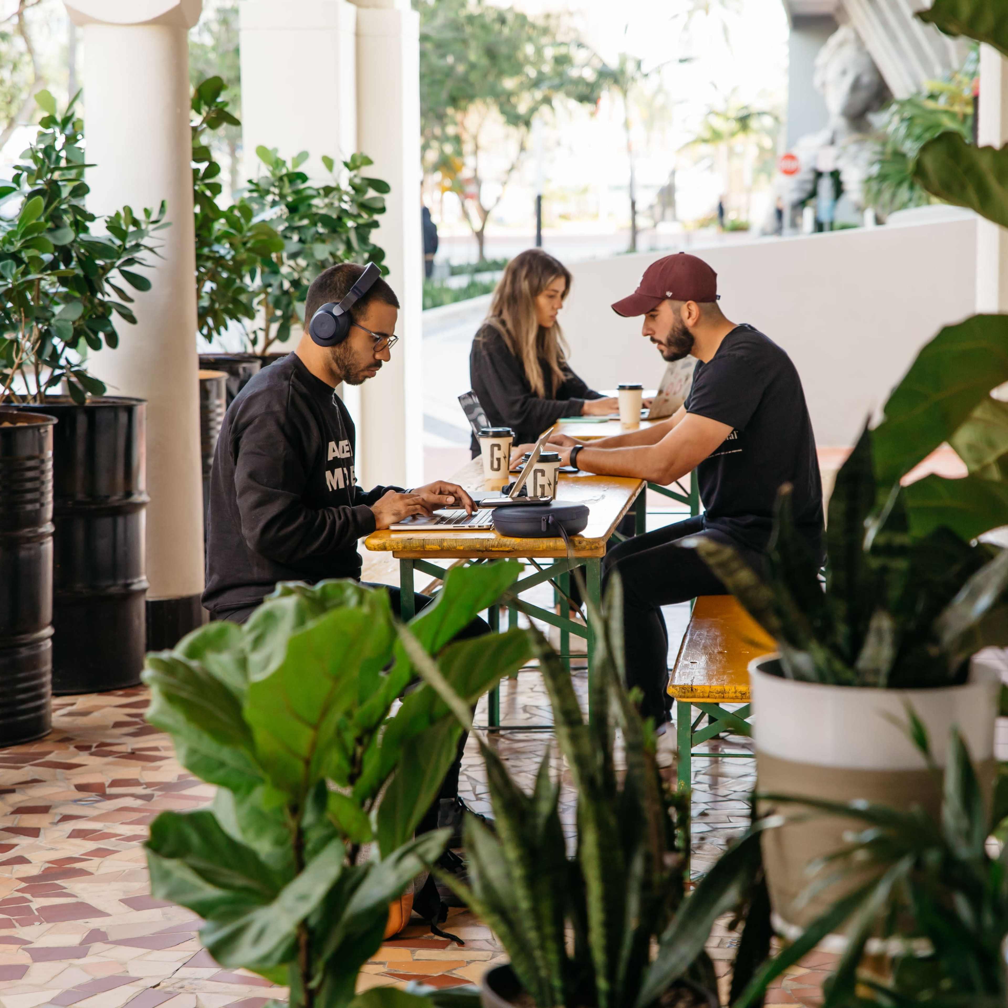 Three individuals are working on laptops at a café table surrounded by large potted plants.