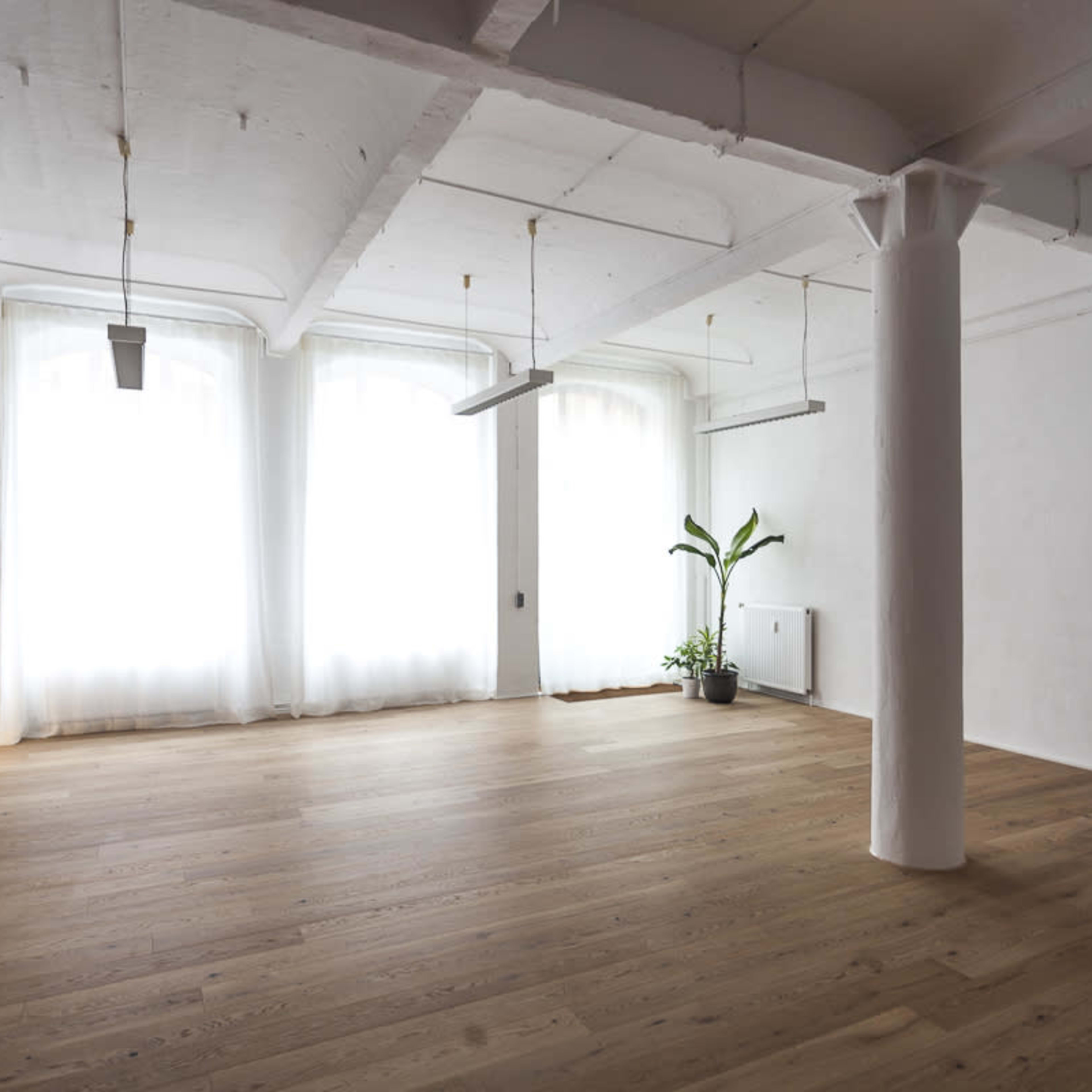 A spacious, minimalist room with wooden flooring, large windows covered by sheer curtains, and a potted plant in the corner.