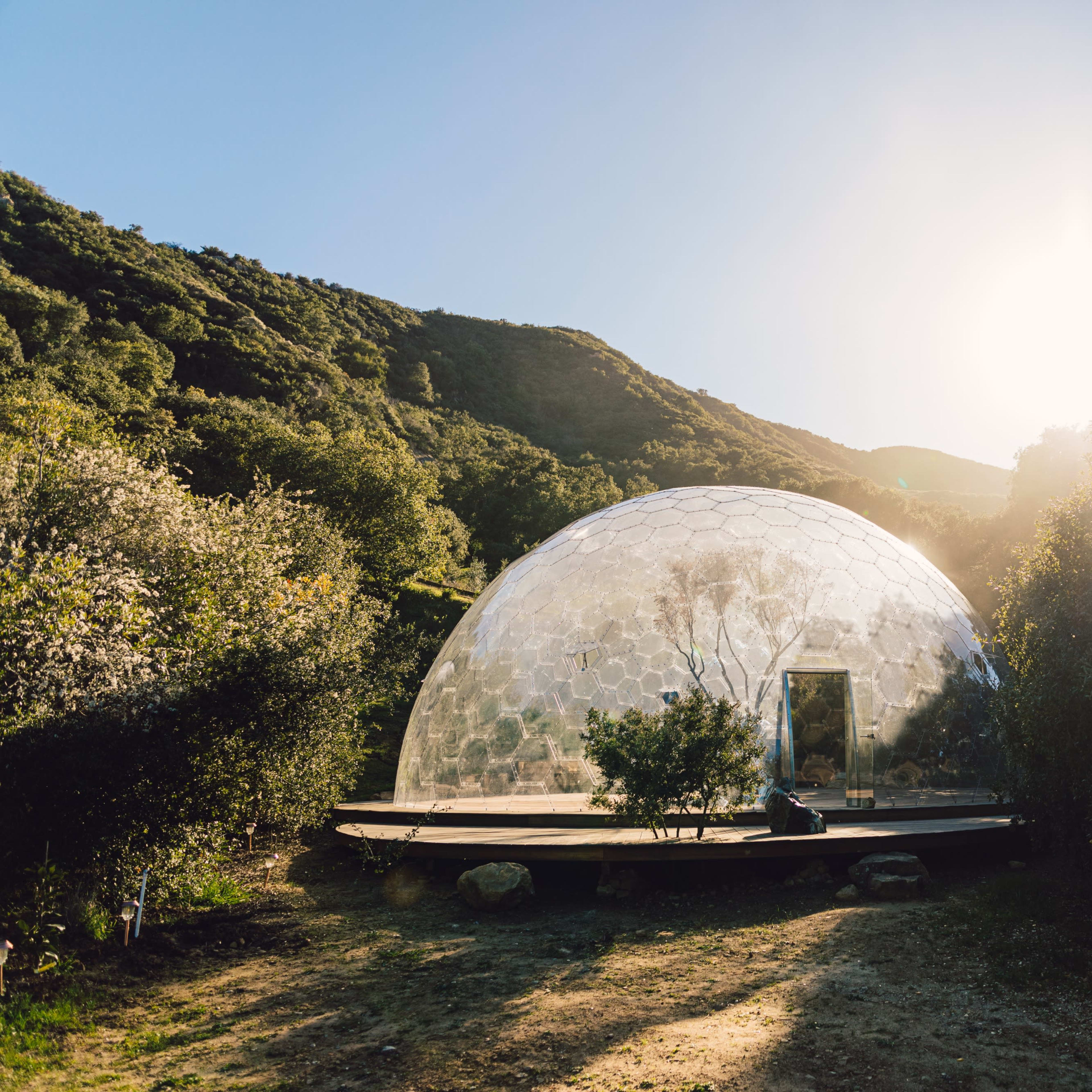 A transparent geodesic dome sits among greenery on a hillside, with the sun shining in the background.