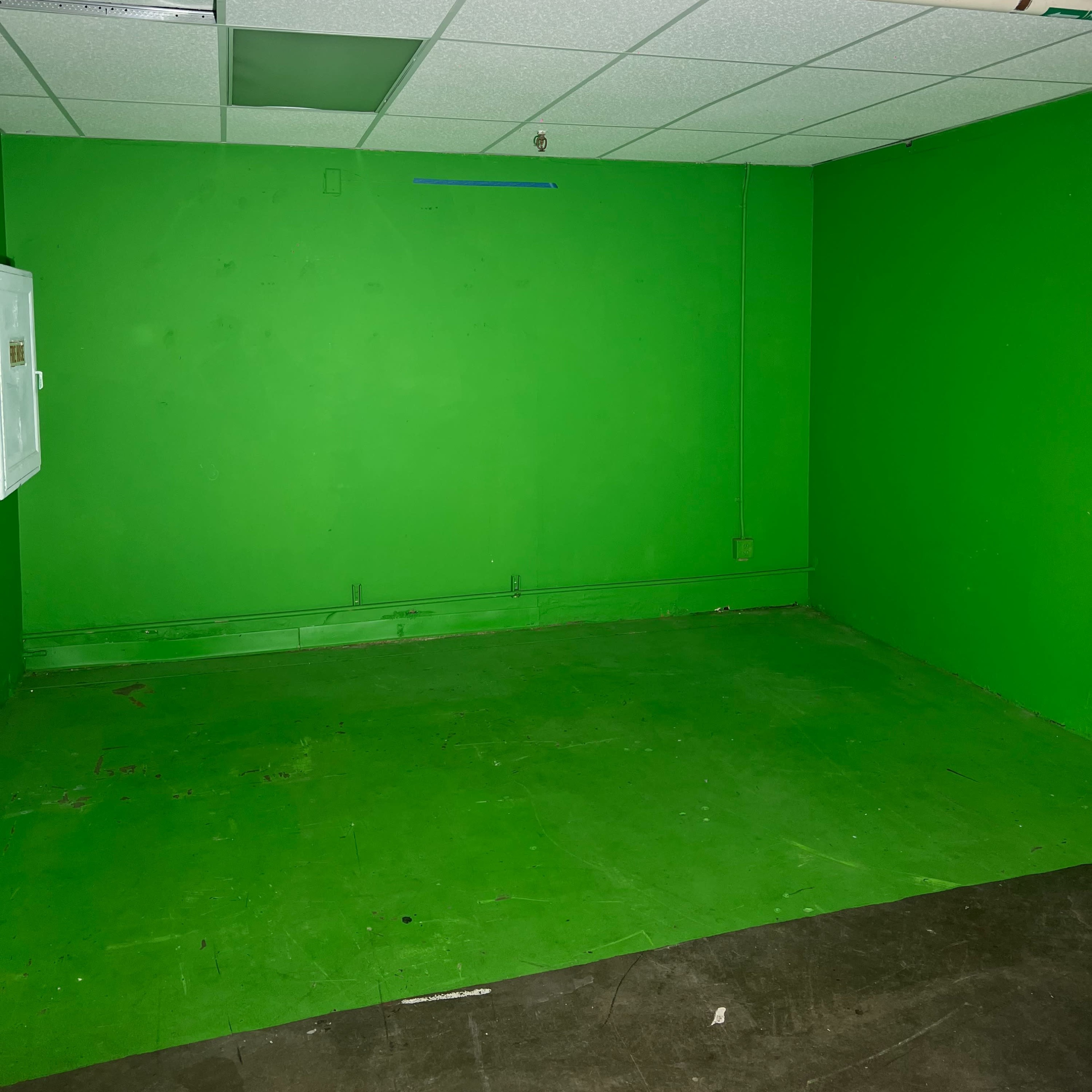 An empty room with green walls and a green floor, featuring a suspended ceiling and exposed pipes.