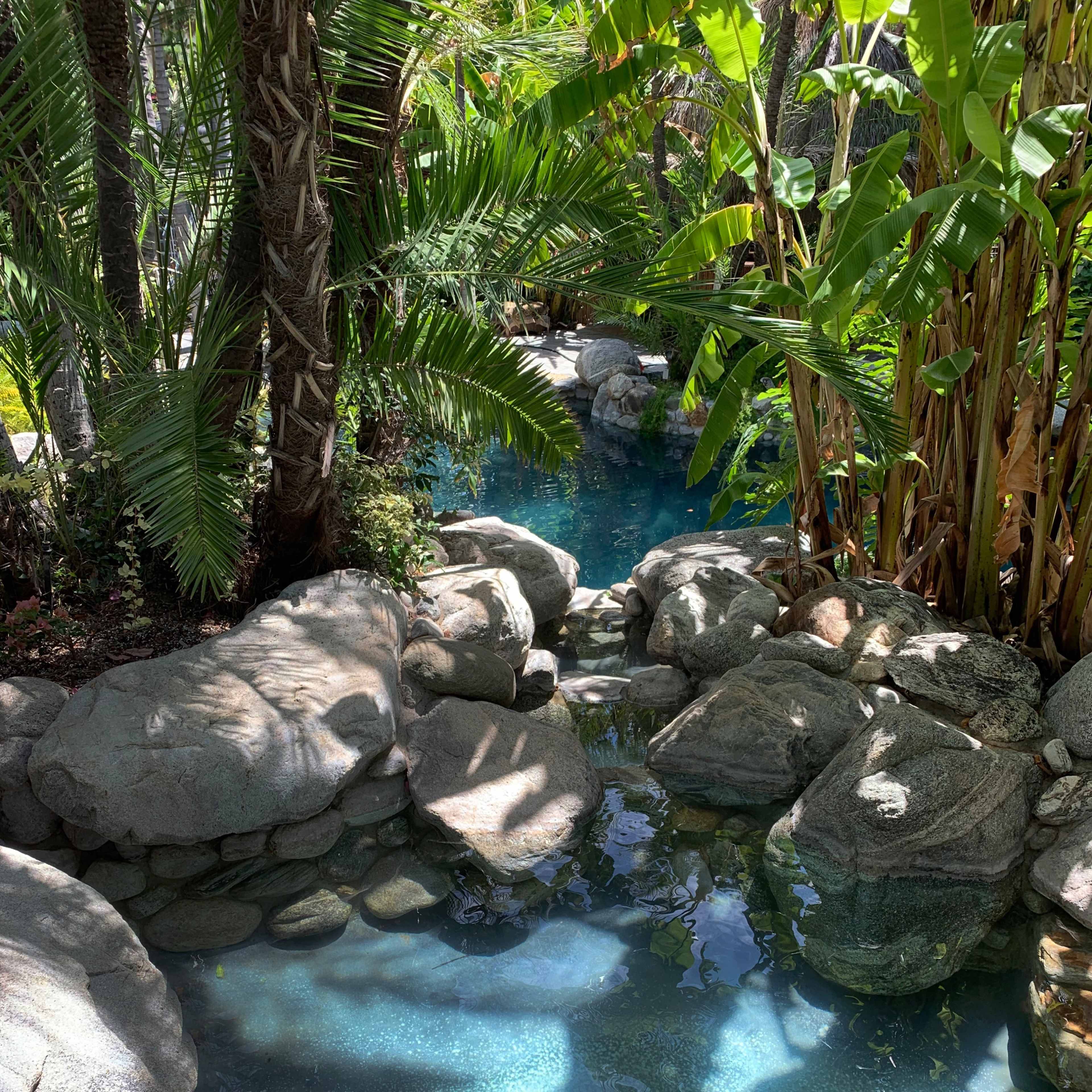A serene natural pool surrounded by rocks and lush green foliage.
