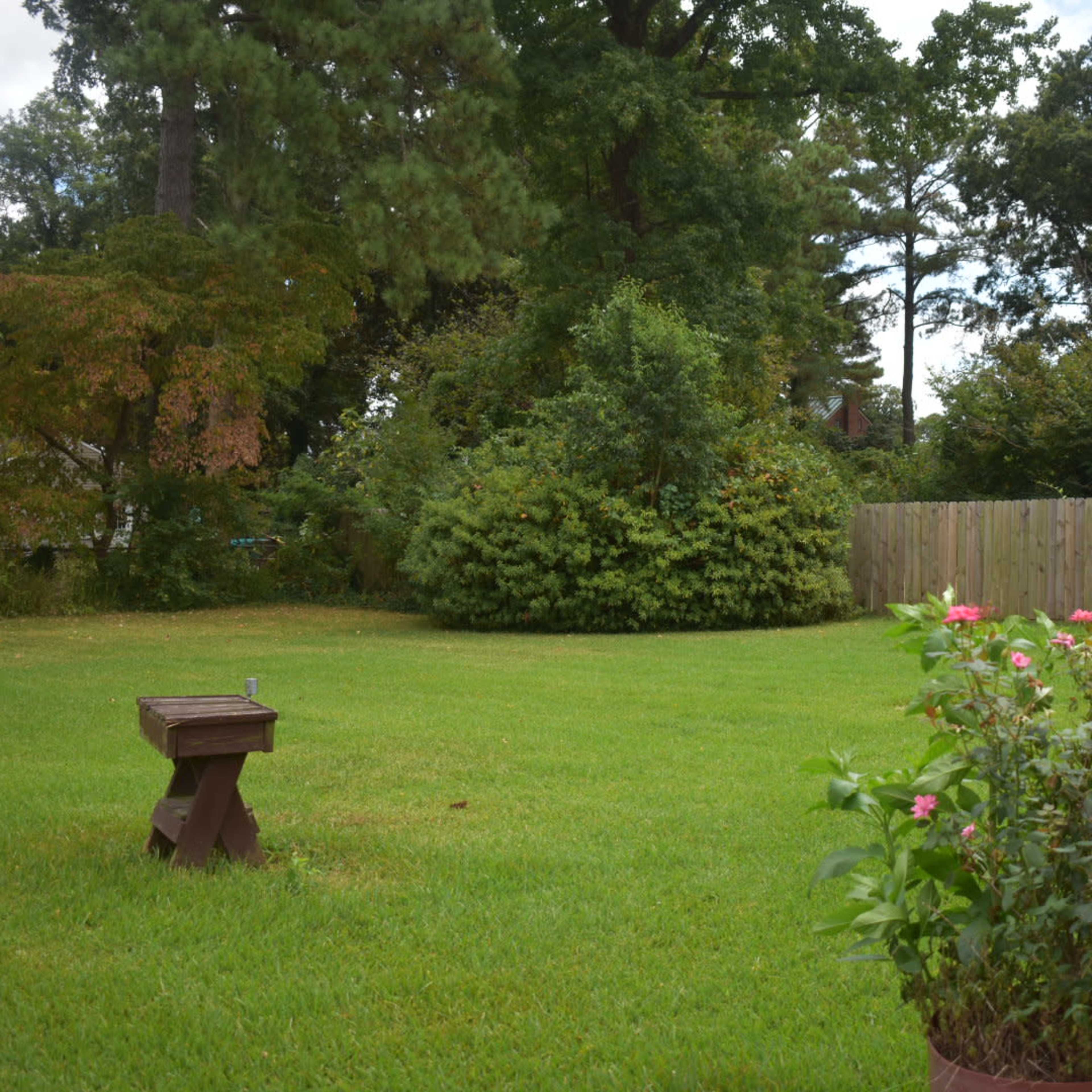 A green lawn with a wooden bench and a flower bush is surrounded by trees and a wooden fence.