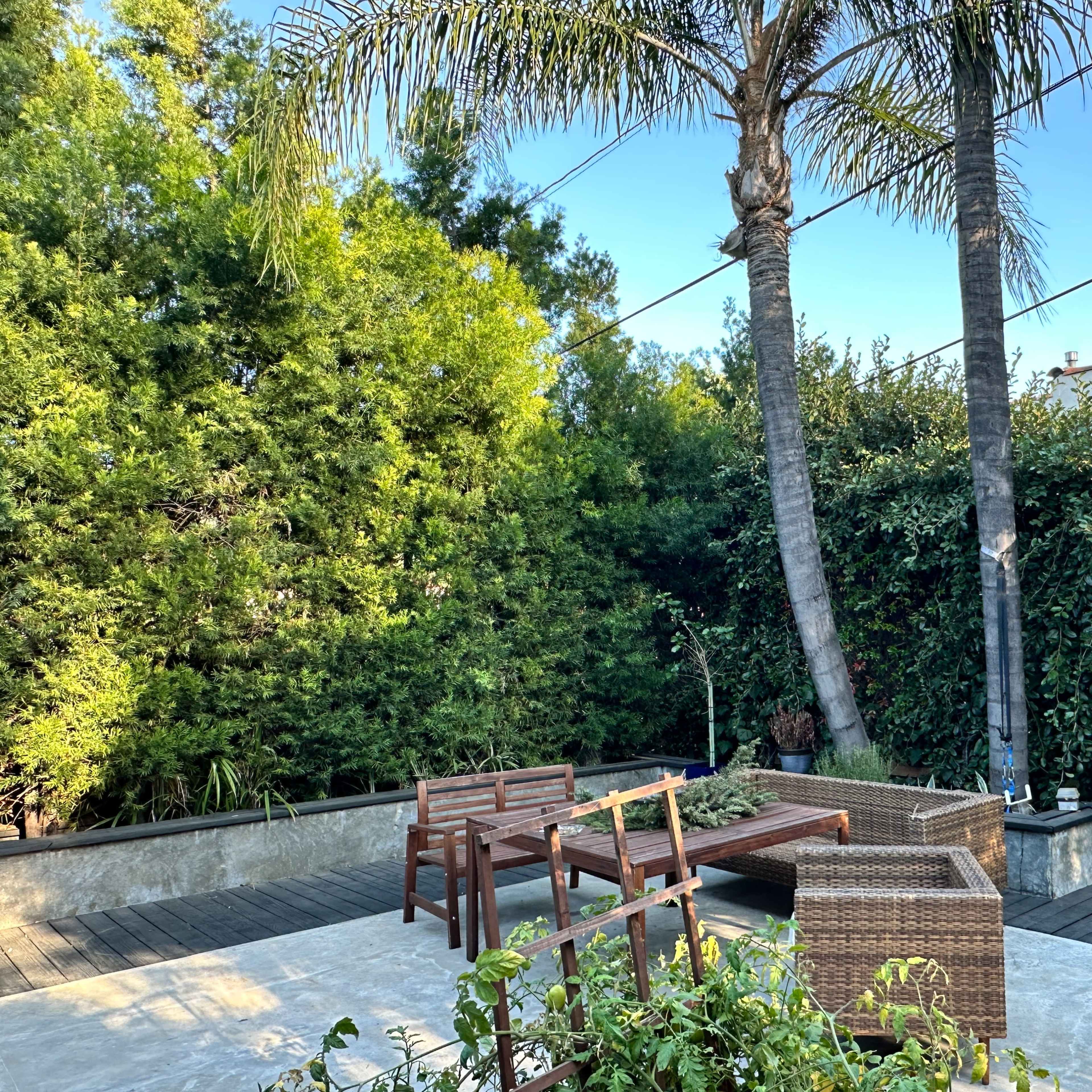 A serene outdoor space features a seating area with wooden chairs and a sectional sofa, surrounded by tall palm trees and lush greenery.