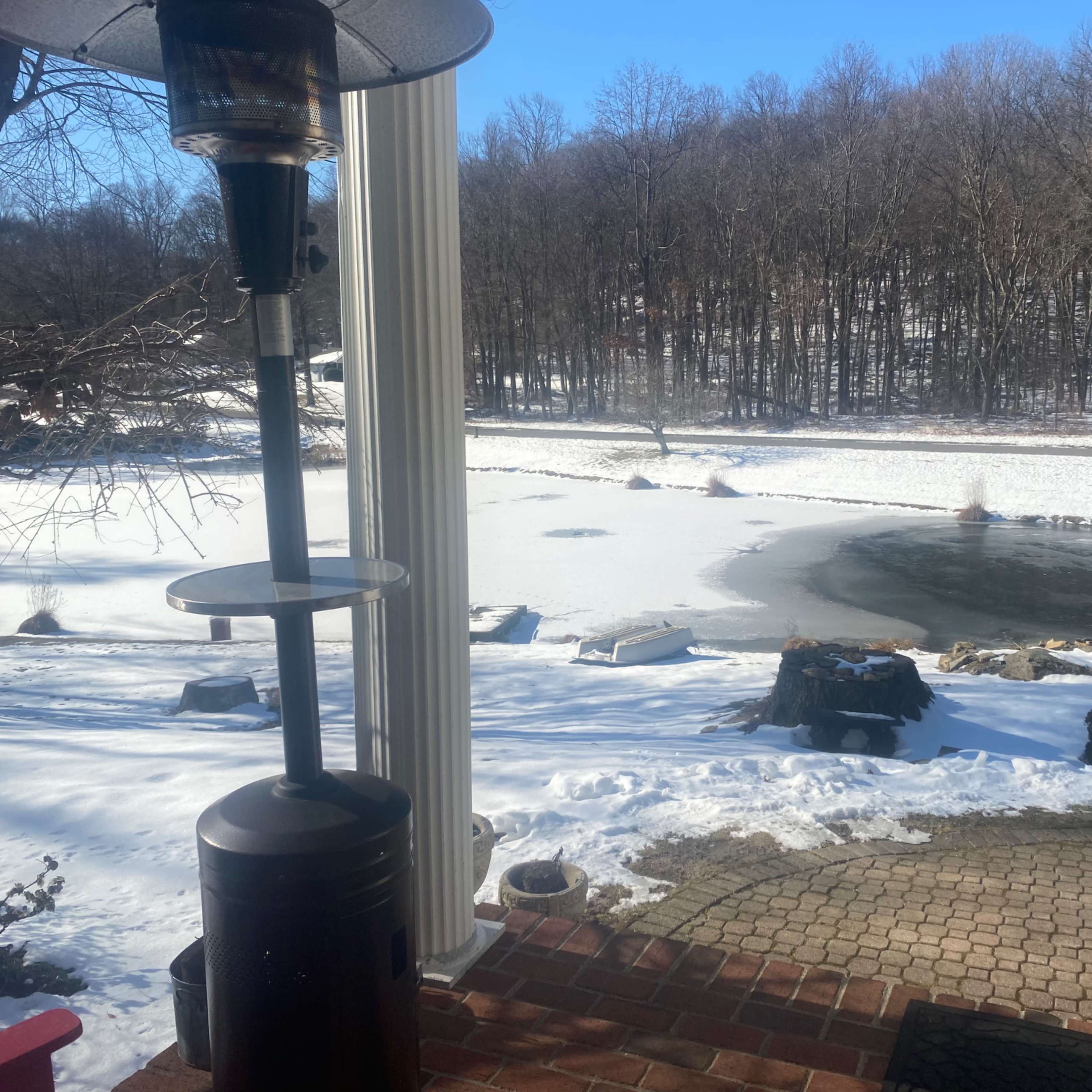 A patio heater stands on a brick porch overlooking a frozen pond surrounded by snow-covered trees.