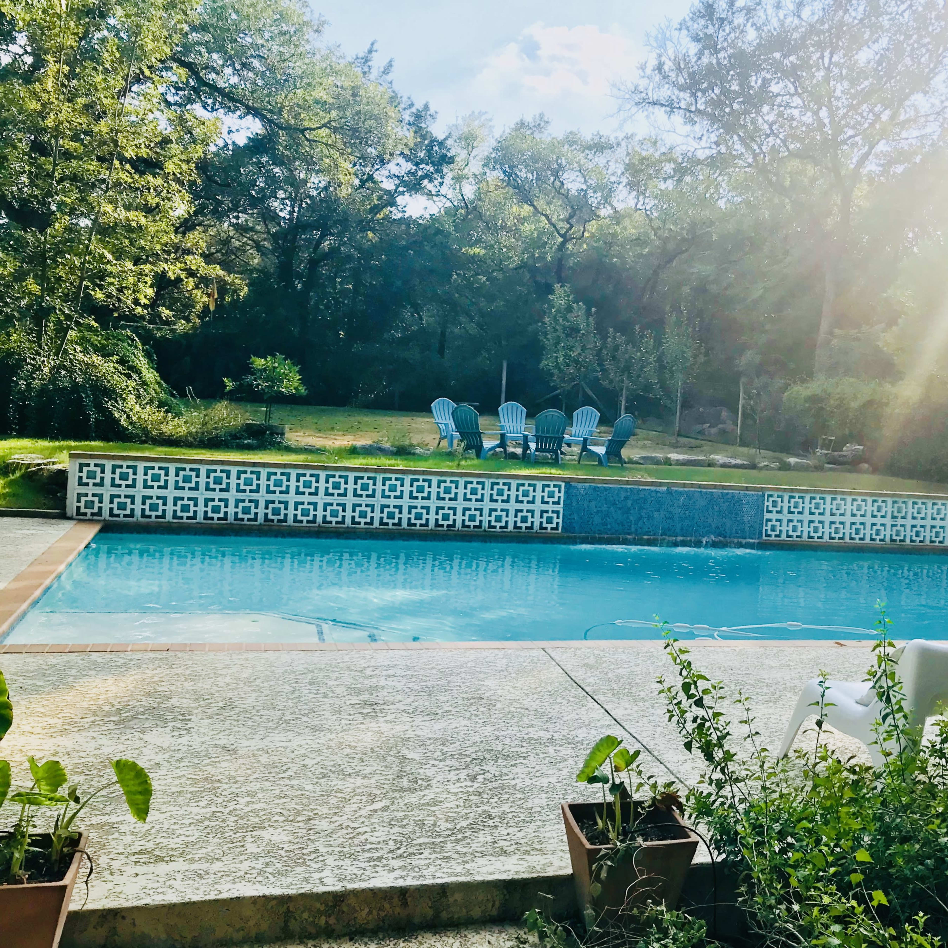 A swimming pool with a patterned tiled edge, surrounded by greenery and lounge chairs under a bright sky.