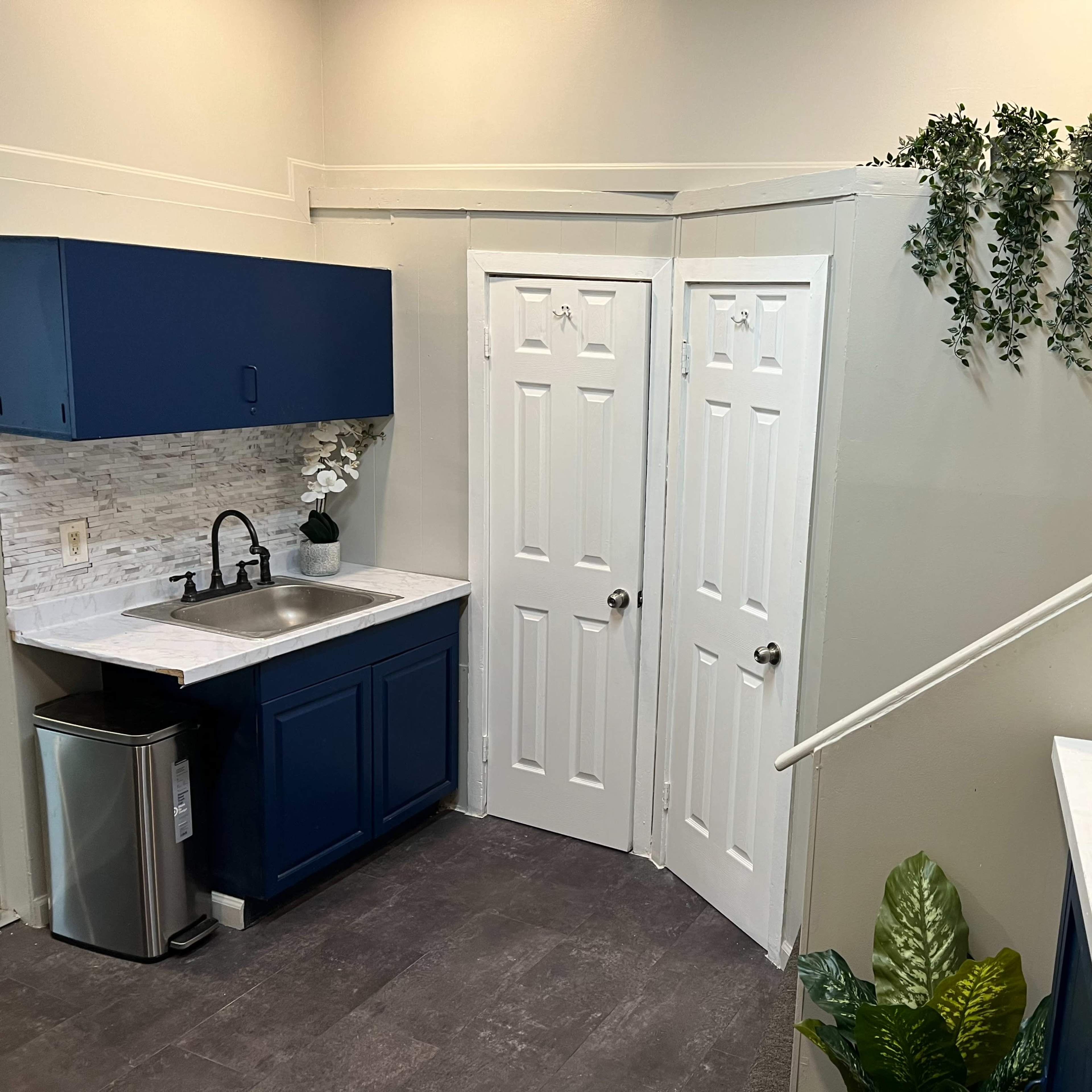 A small kitchen area with blue cabinets, a sink, and two white doors leading to another space, along with decorative plants placed nearby.
