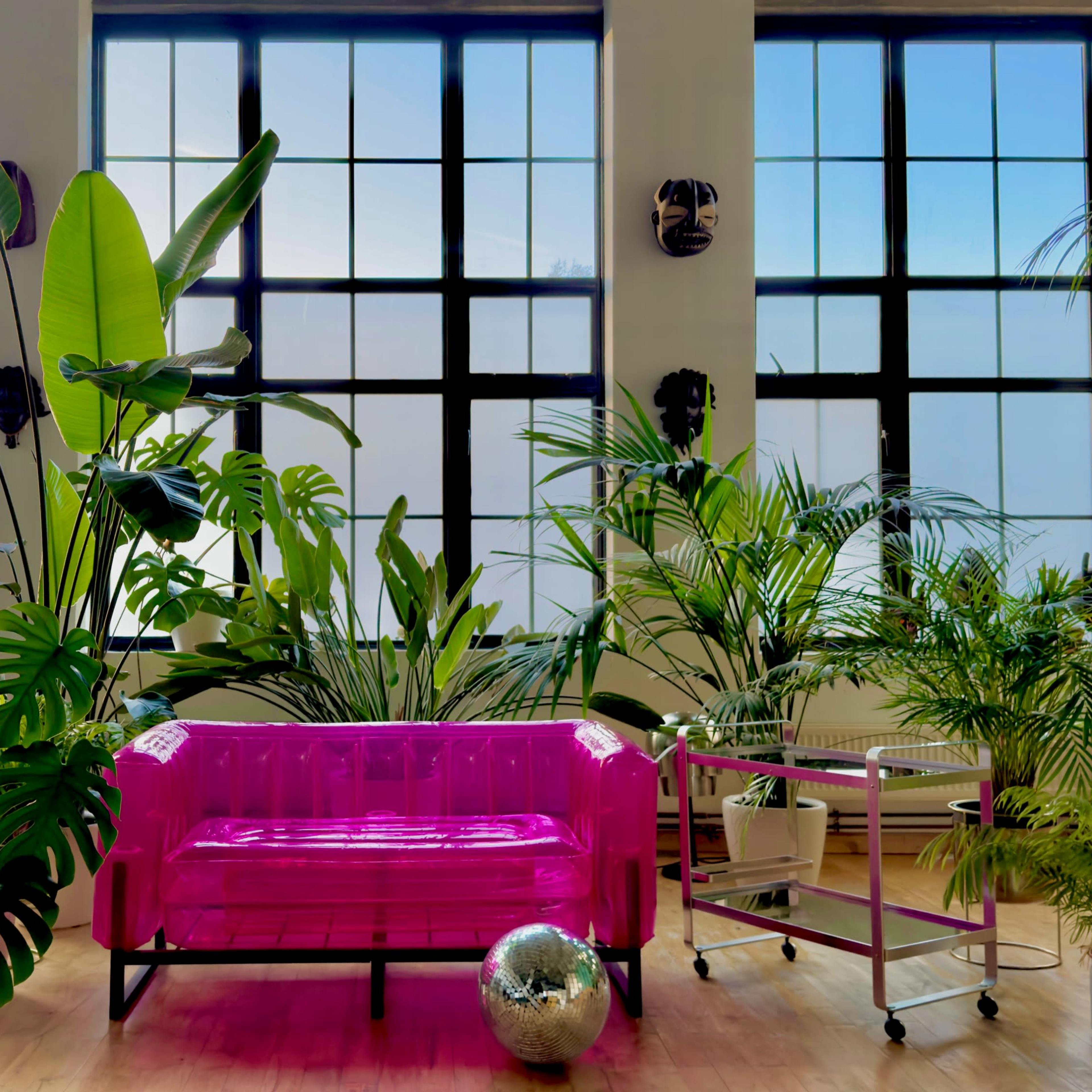 A bright room features a pink sofa surrounded by various indoor plants and large windows.