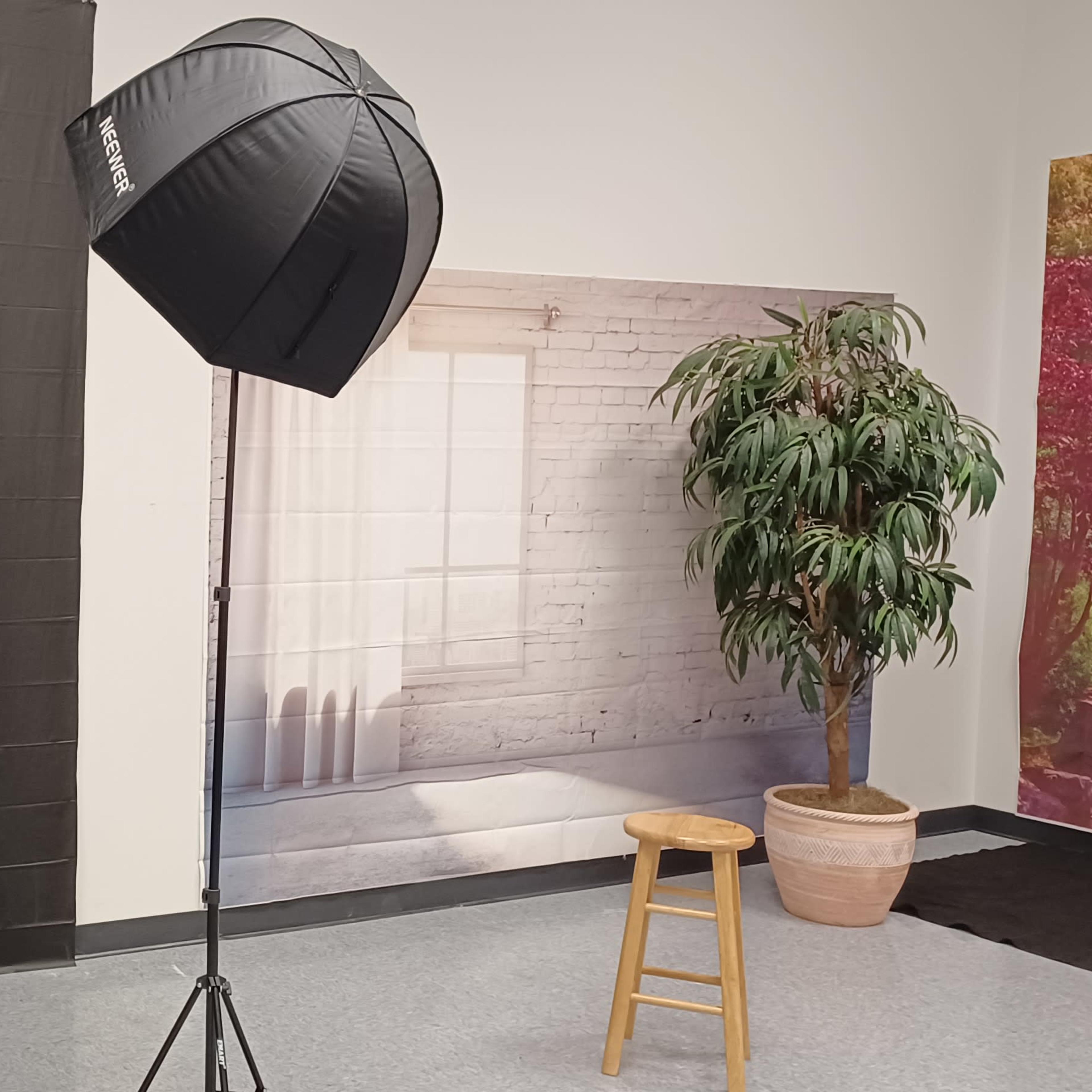 A photography setup with a black backdrop, a softbox light on a stand, and a wooden stool beside a decorative plant against a wall.
