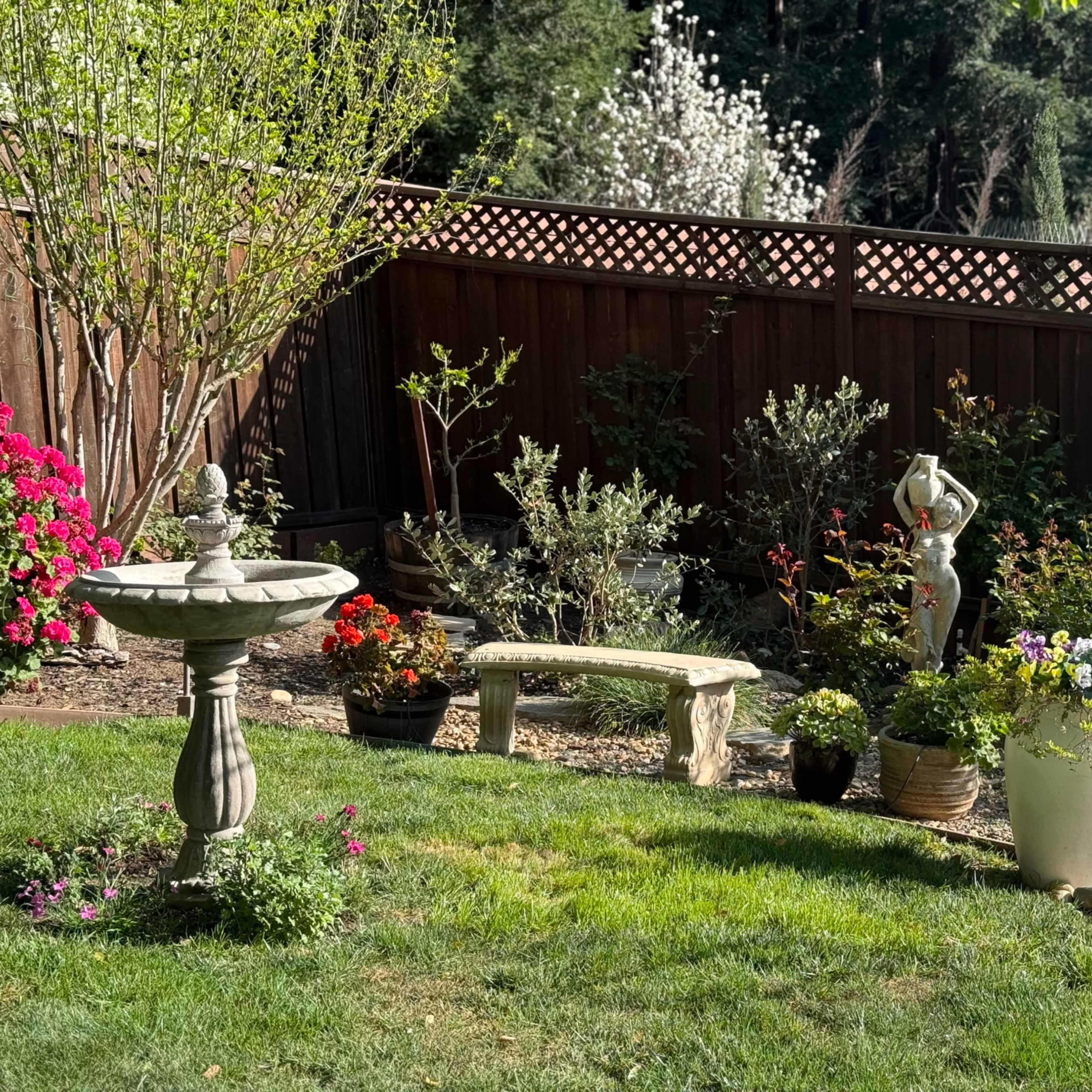 Charming Garden Oasis with Jacuzzi, Outdoor Kitchen & Event Space Image in Concord, Concord, CA