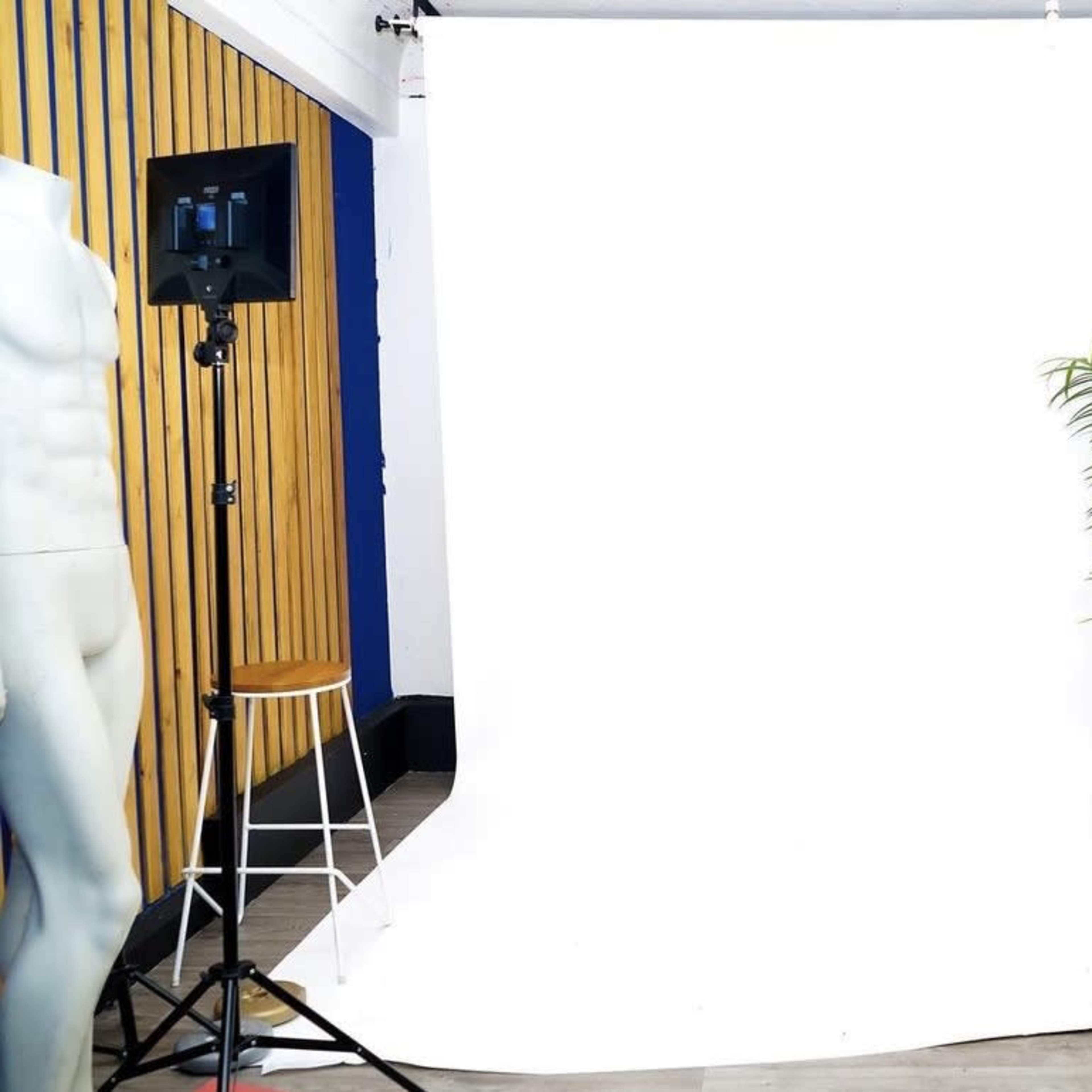 An indoor photography setup featuring a white backdrop, lighting equipment, a potted plant, and a green sofa.