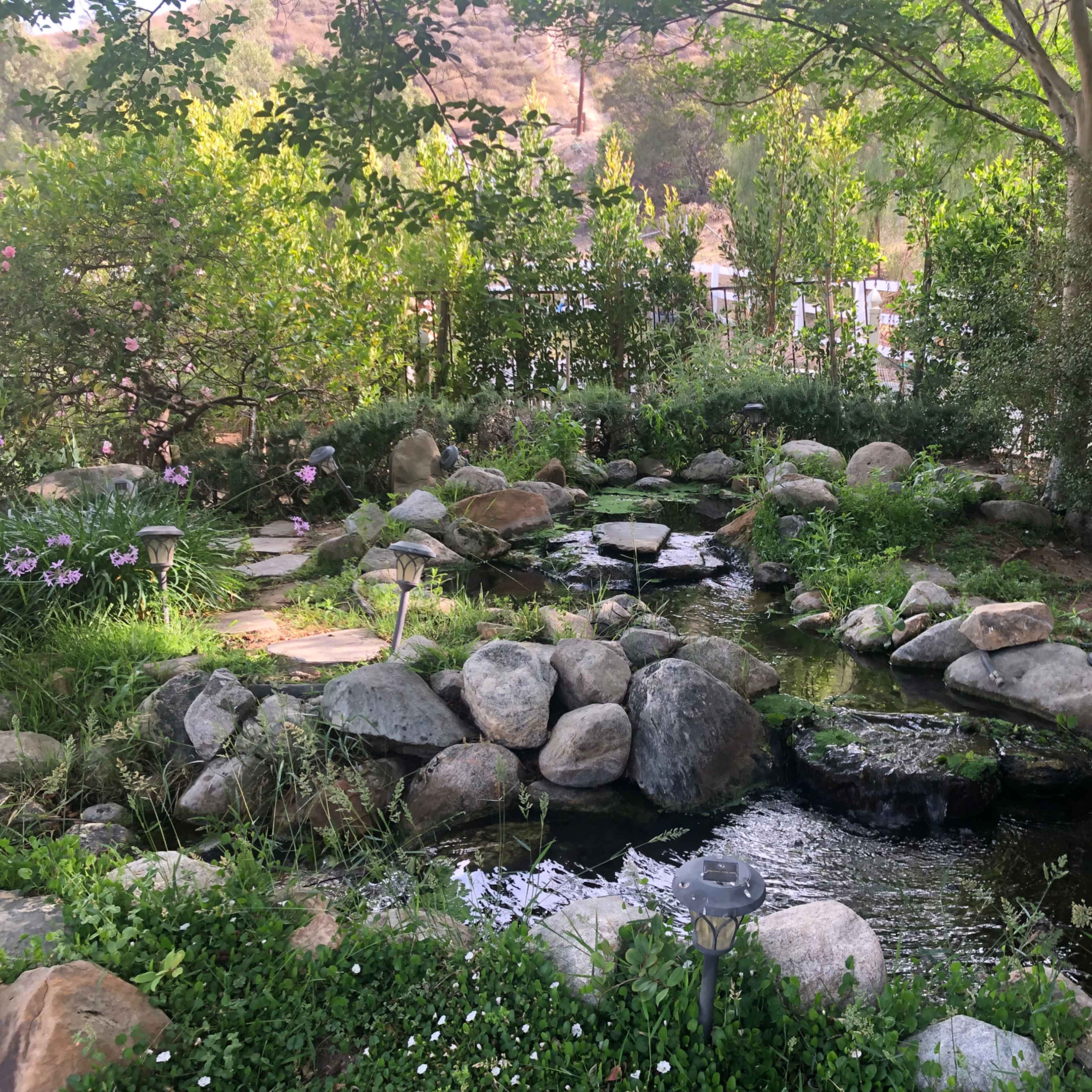 A serene garden pond surrounded by large rocks, plants, and trees.