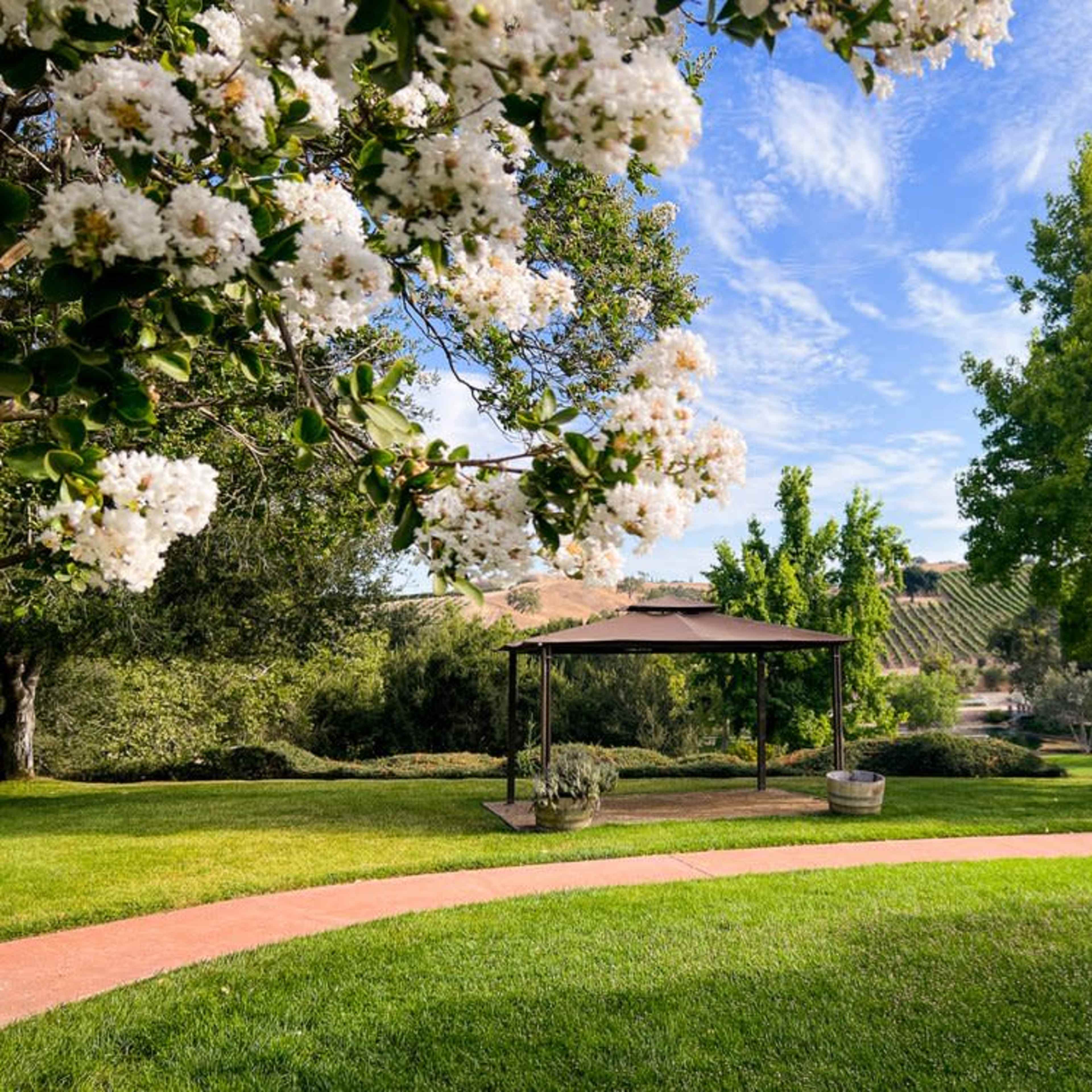 A landscaped garden with a gazebo surrounded by flowering trees and grassy pathways leading to a vineyard in the background.