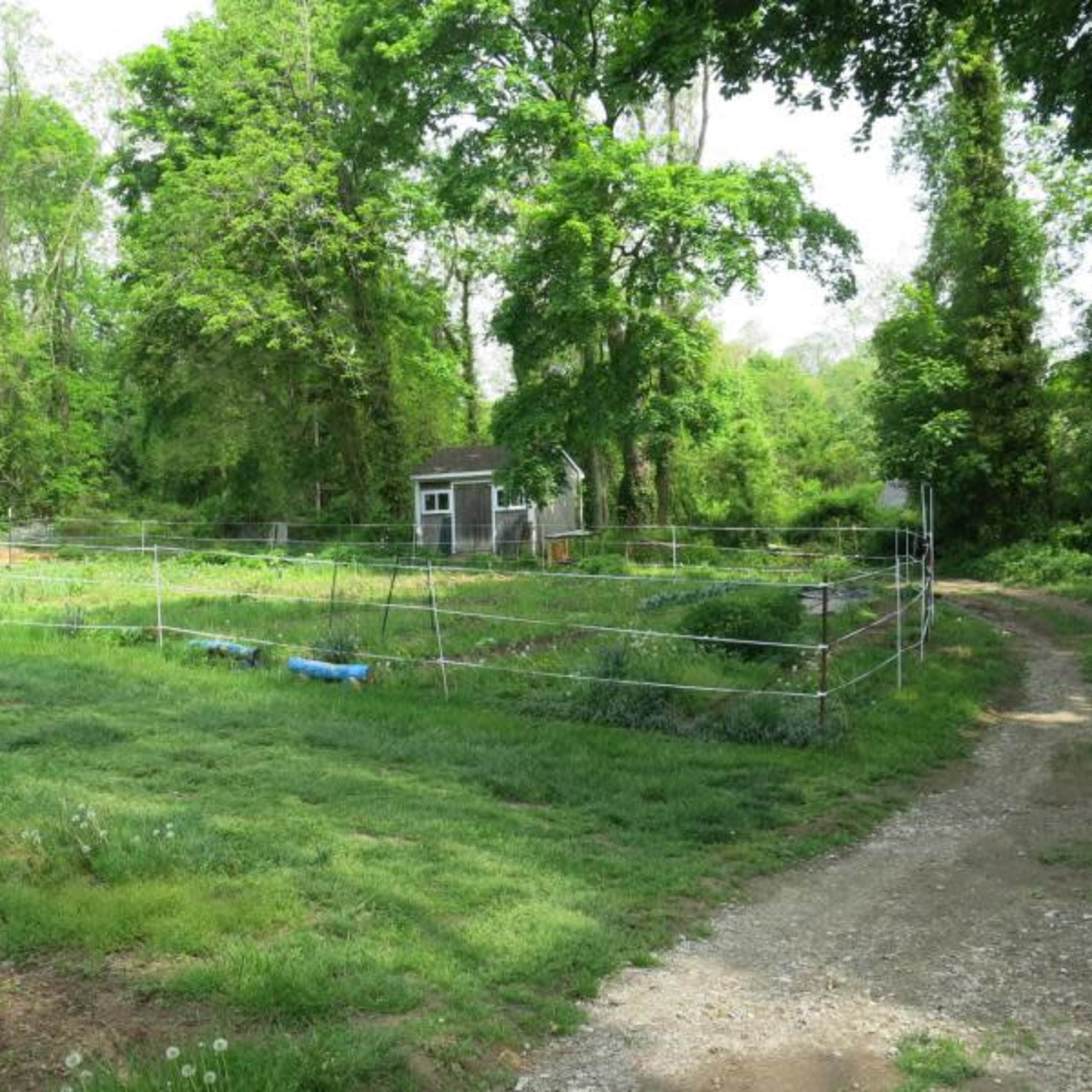 A dirt path runs alongside a fenced garden area with a greenhouse and a small shed surrounded by trees.