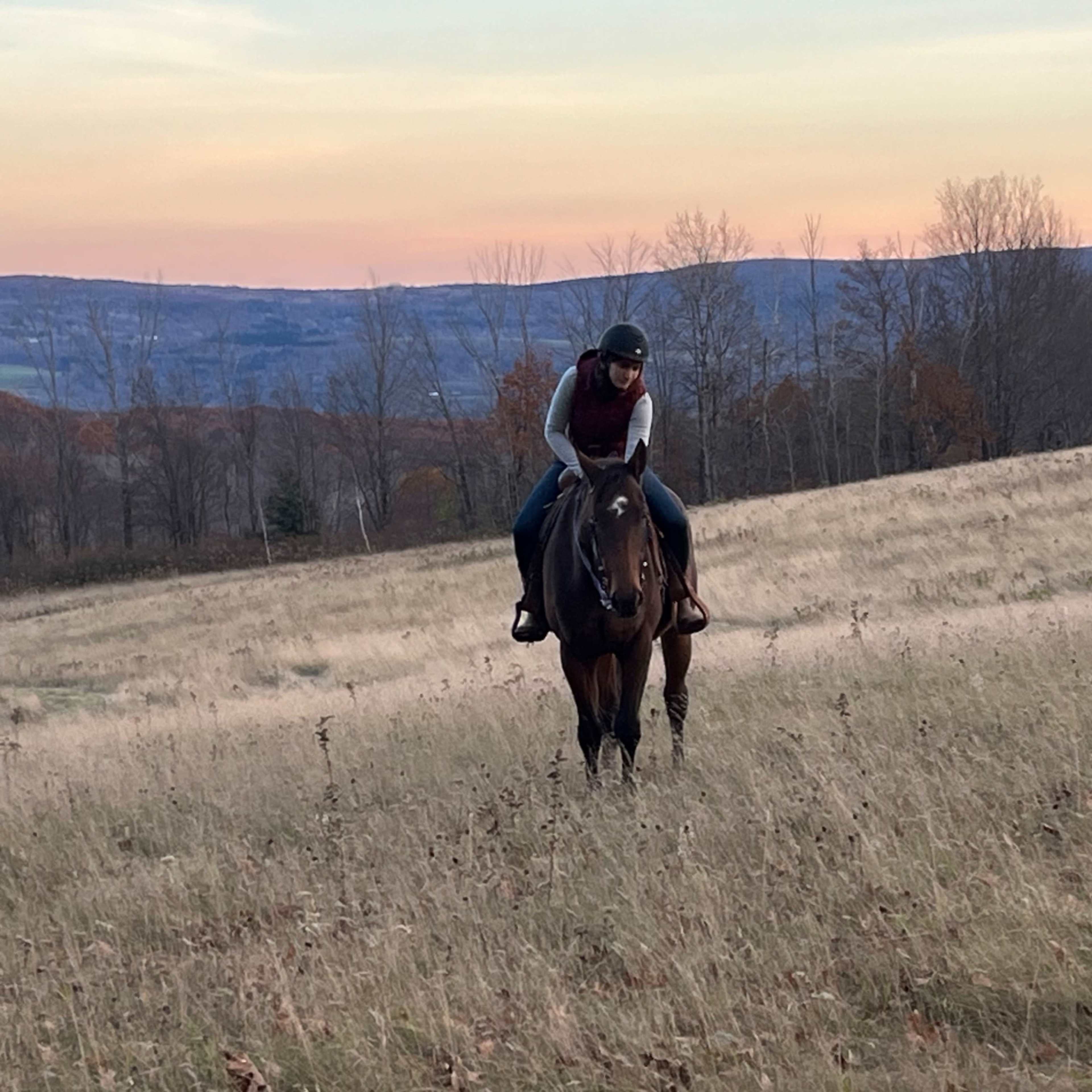 A person on horseback rides through a grassy field at sunset, with wooded hills visible in the background.