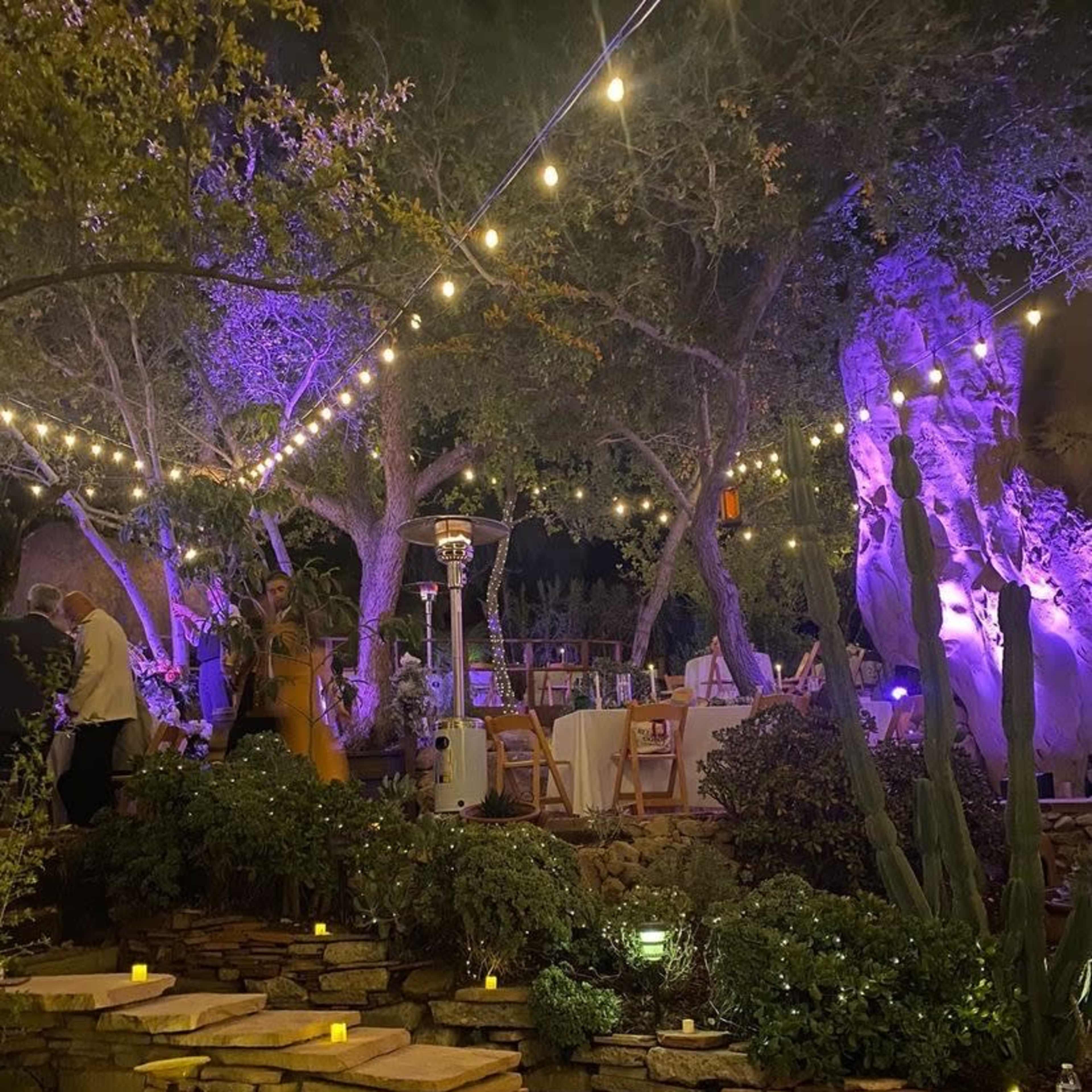 The scene features a garden setting illuminated by string lights, with tables set for dining among trees and decorative elements.