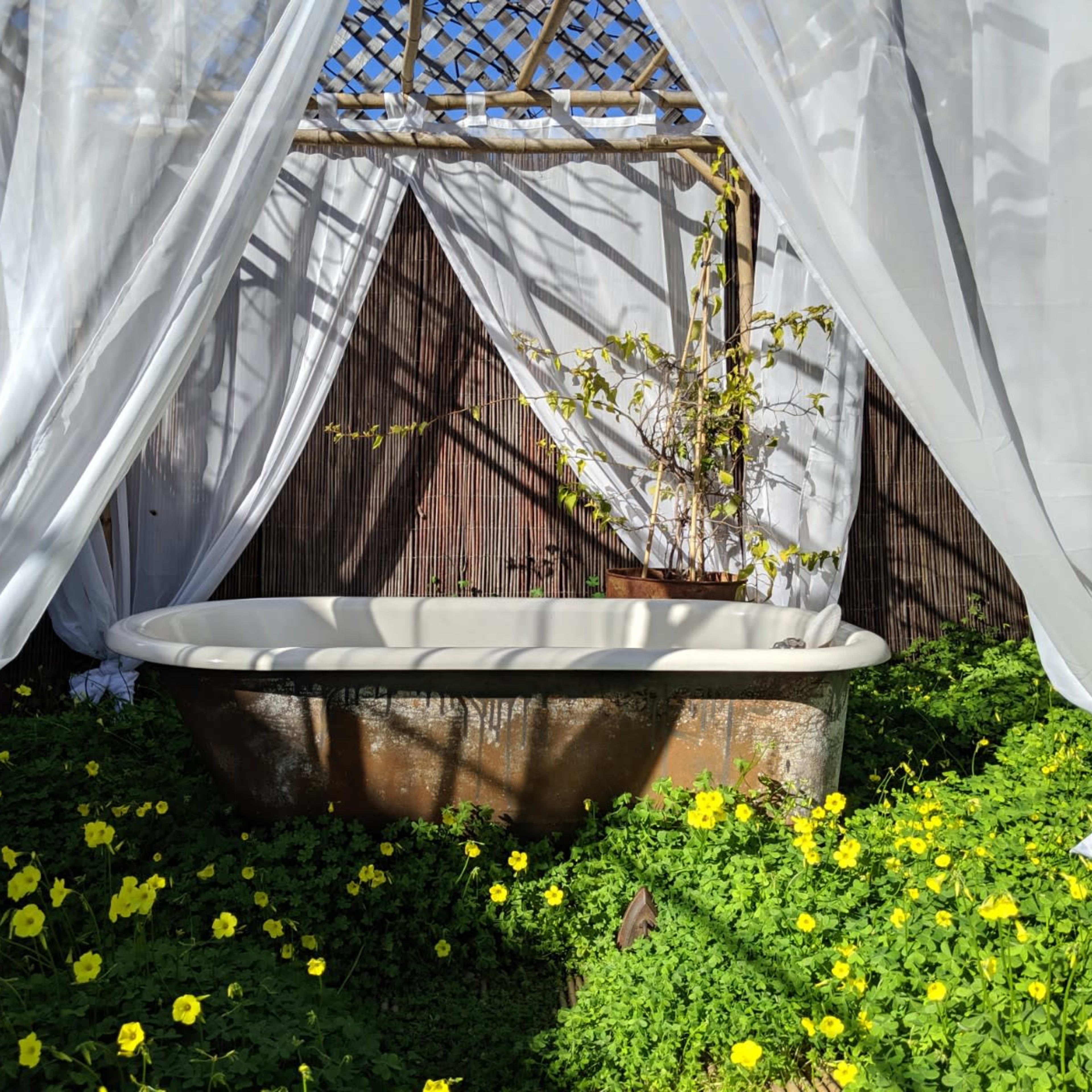 A vintage bathtub is surrounded by flowering plants and draped white fabric in a garden setting.
