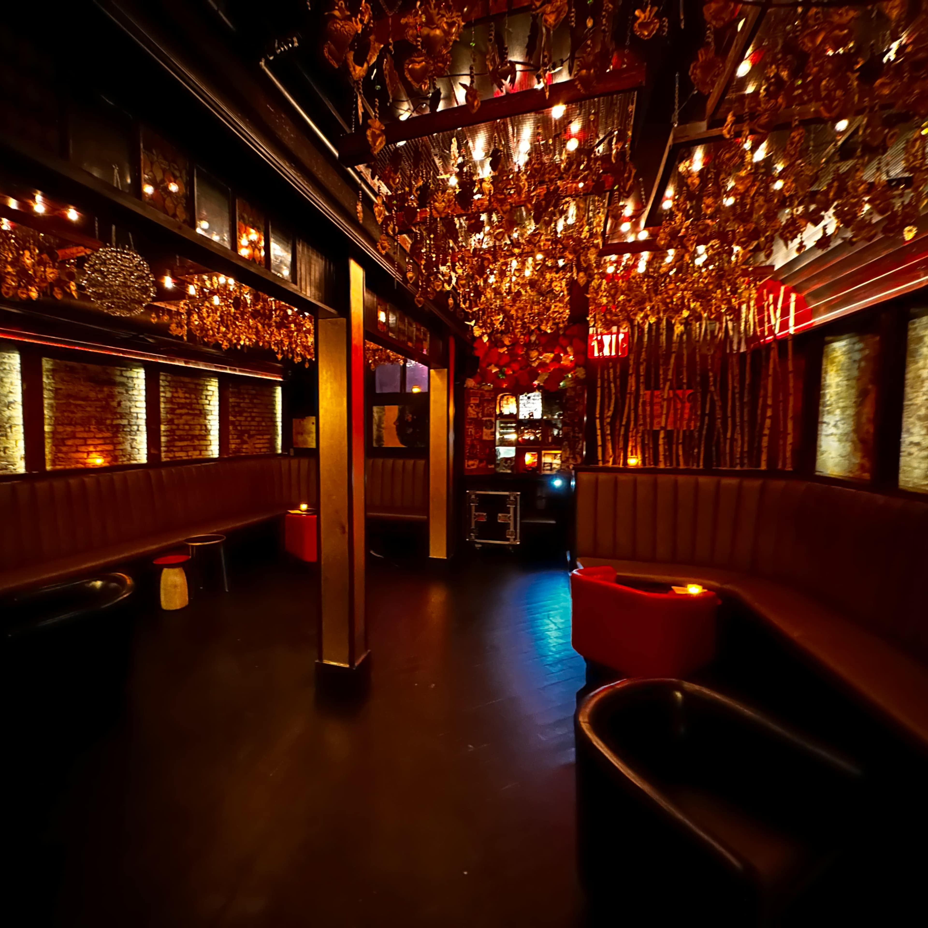 Beautiful Bar Lounge for Private Parties | Space Rental + In-House Food & Drinks Image in Williamsburg, Brooklyn, NY