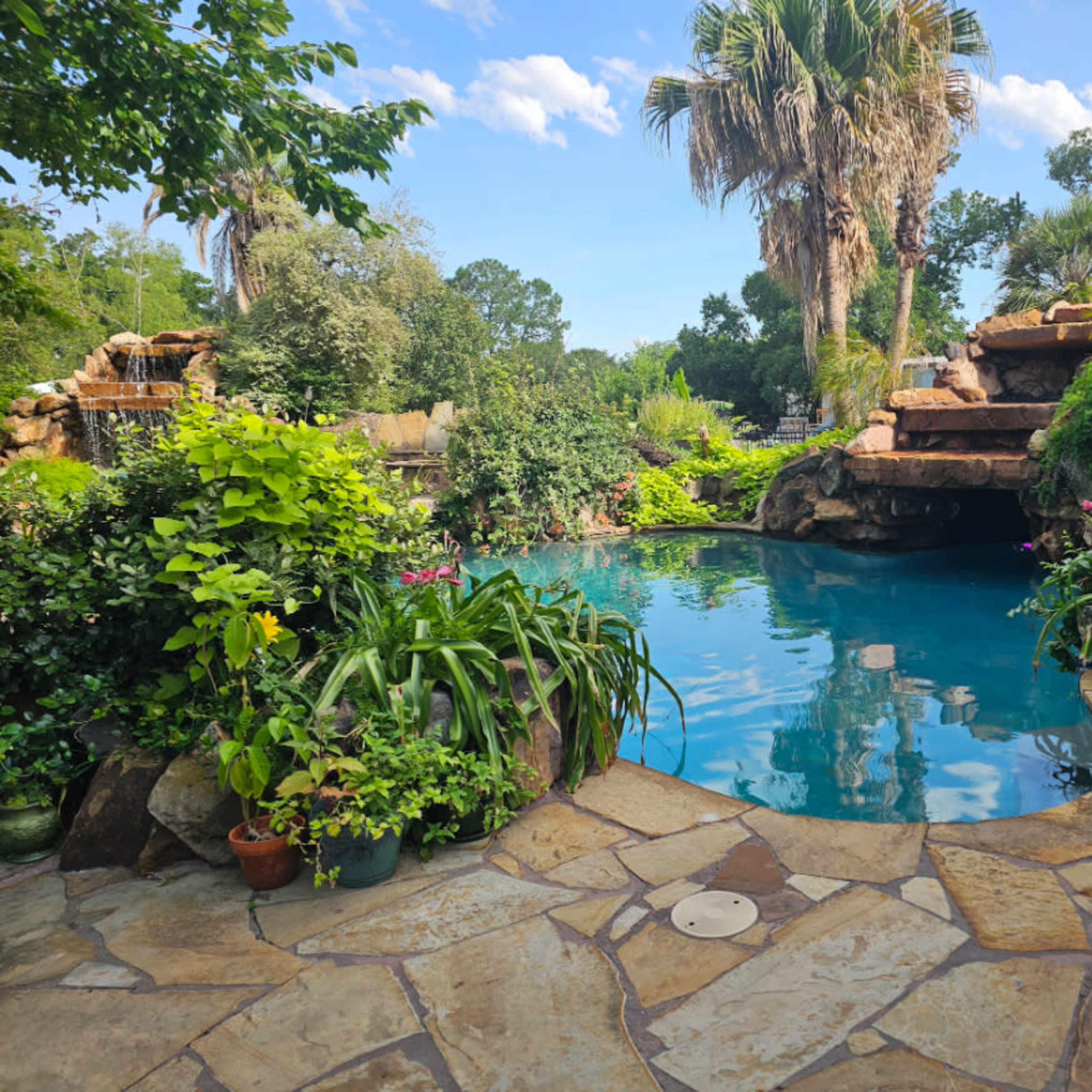 A landscaped backyard pool area surrounded by lush greenery and a rock formation.