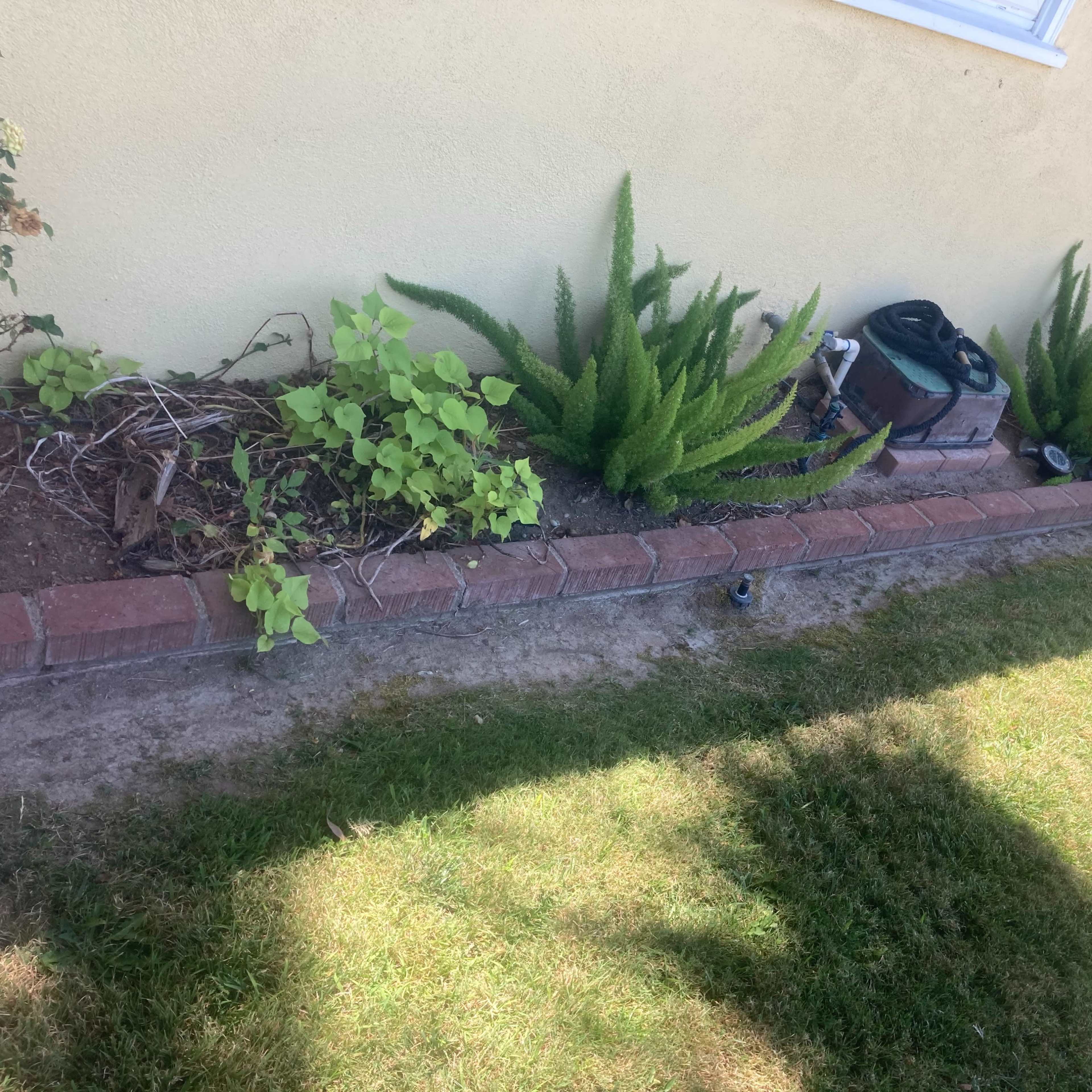 A garden area features a brick border with several green plants and a tool container beside a yellow house wall.
