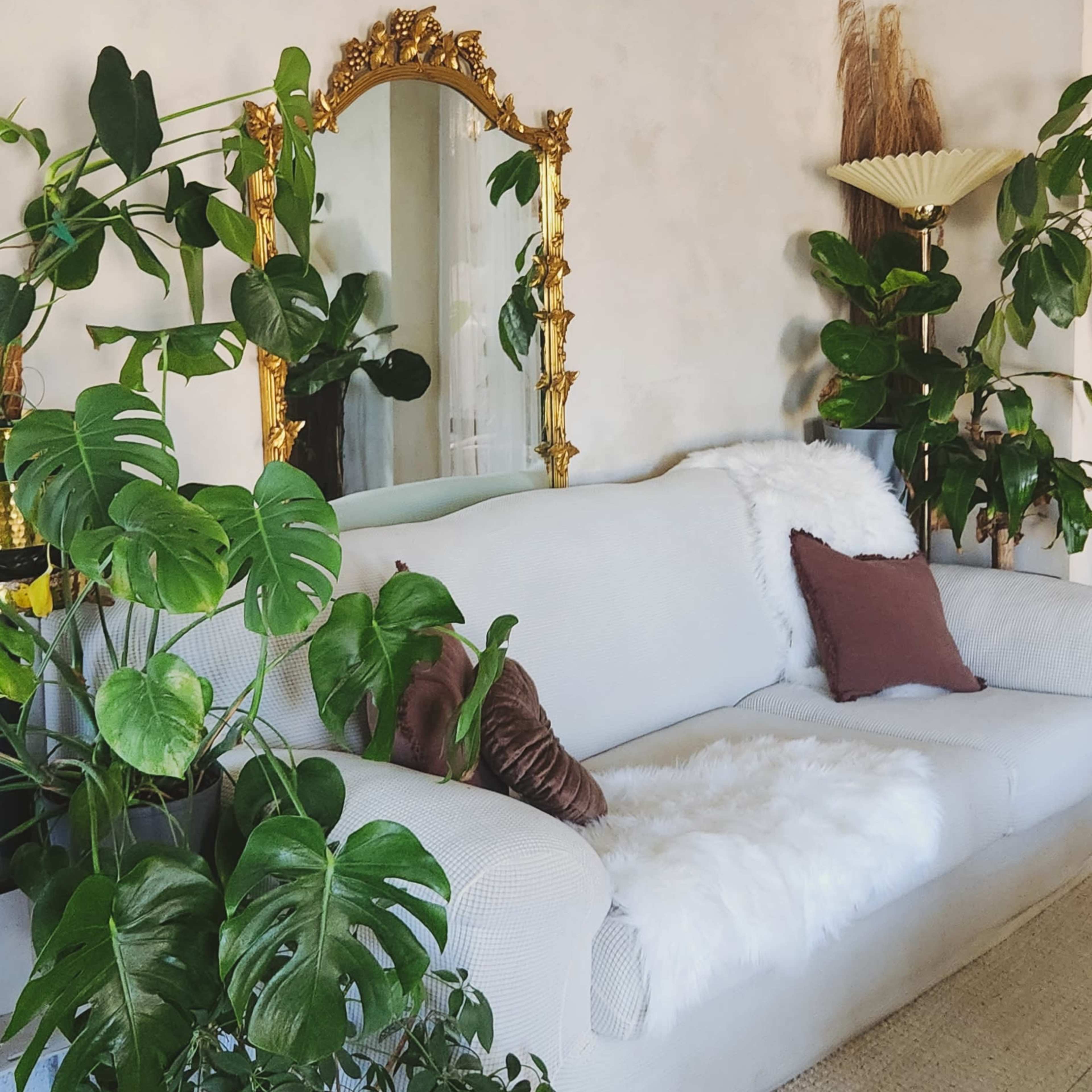 Light + Plant Filled Dreamy Studio Suite with Vintage, Mid-Century and Bohemian decor Image in Buckhead, Decatur, GA
