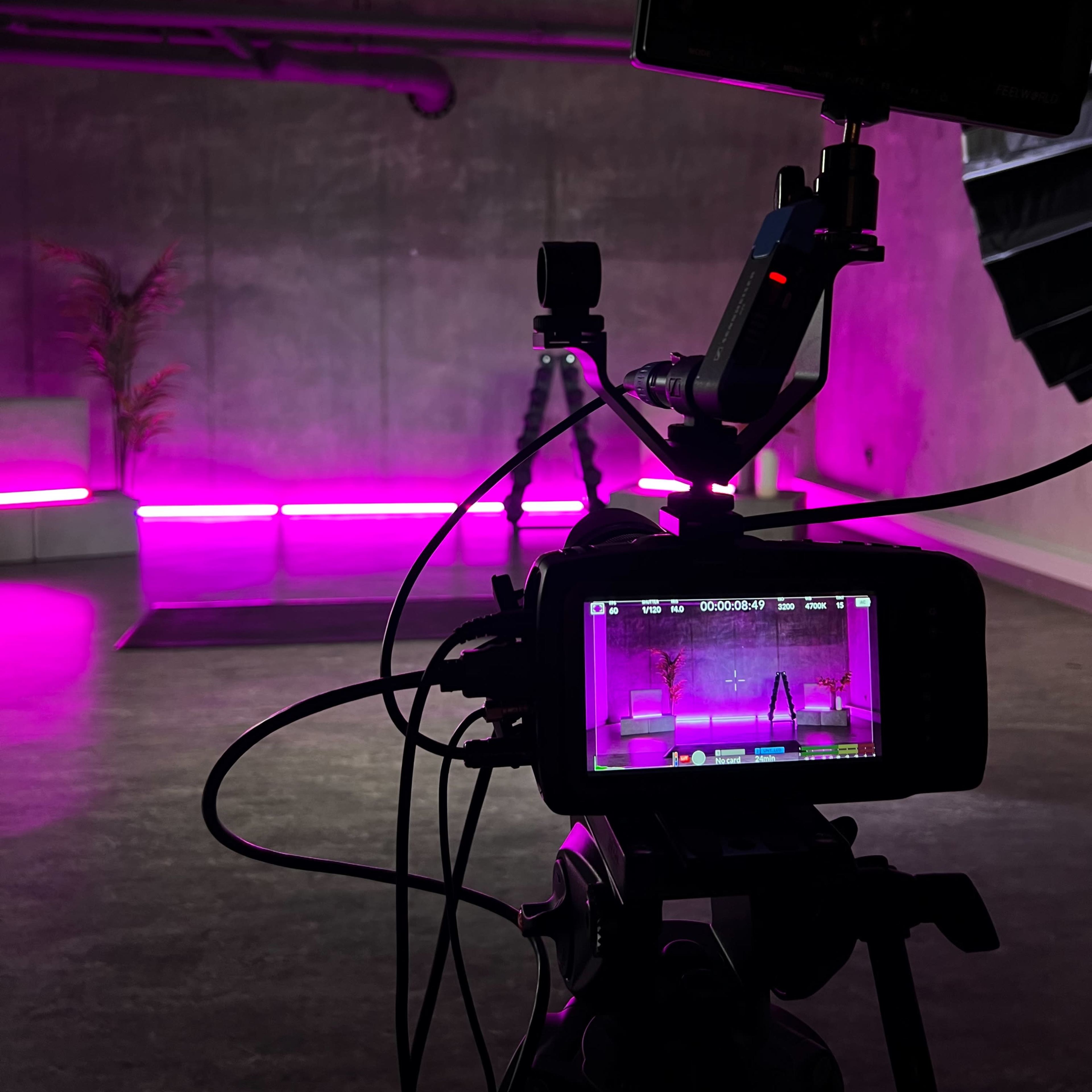 A camera is set up in a dimly lit space with pink lighting and a backdrop featuring a plant.