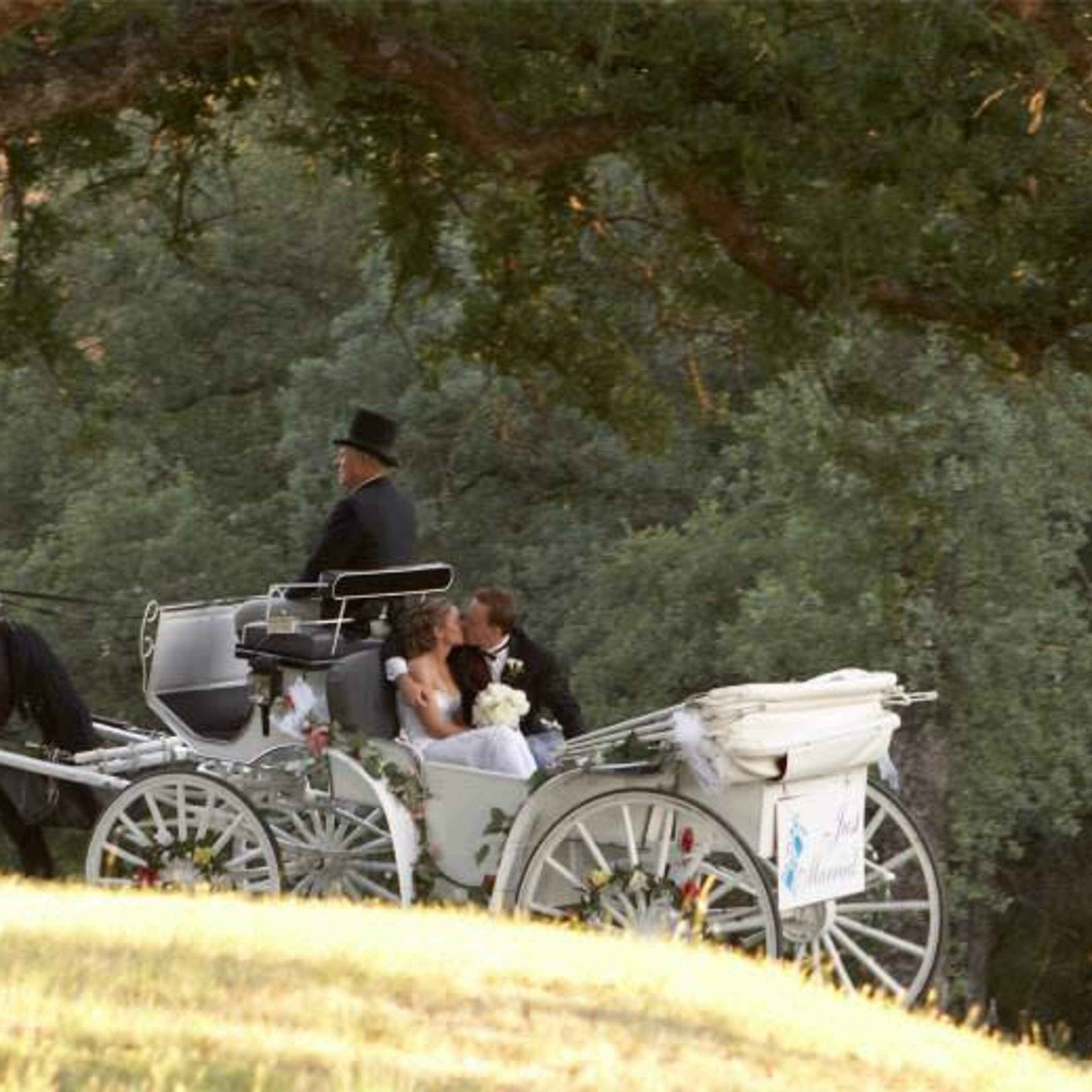 A horse-drawn carriage transports a couple dressed in formal attire through a wooded area.