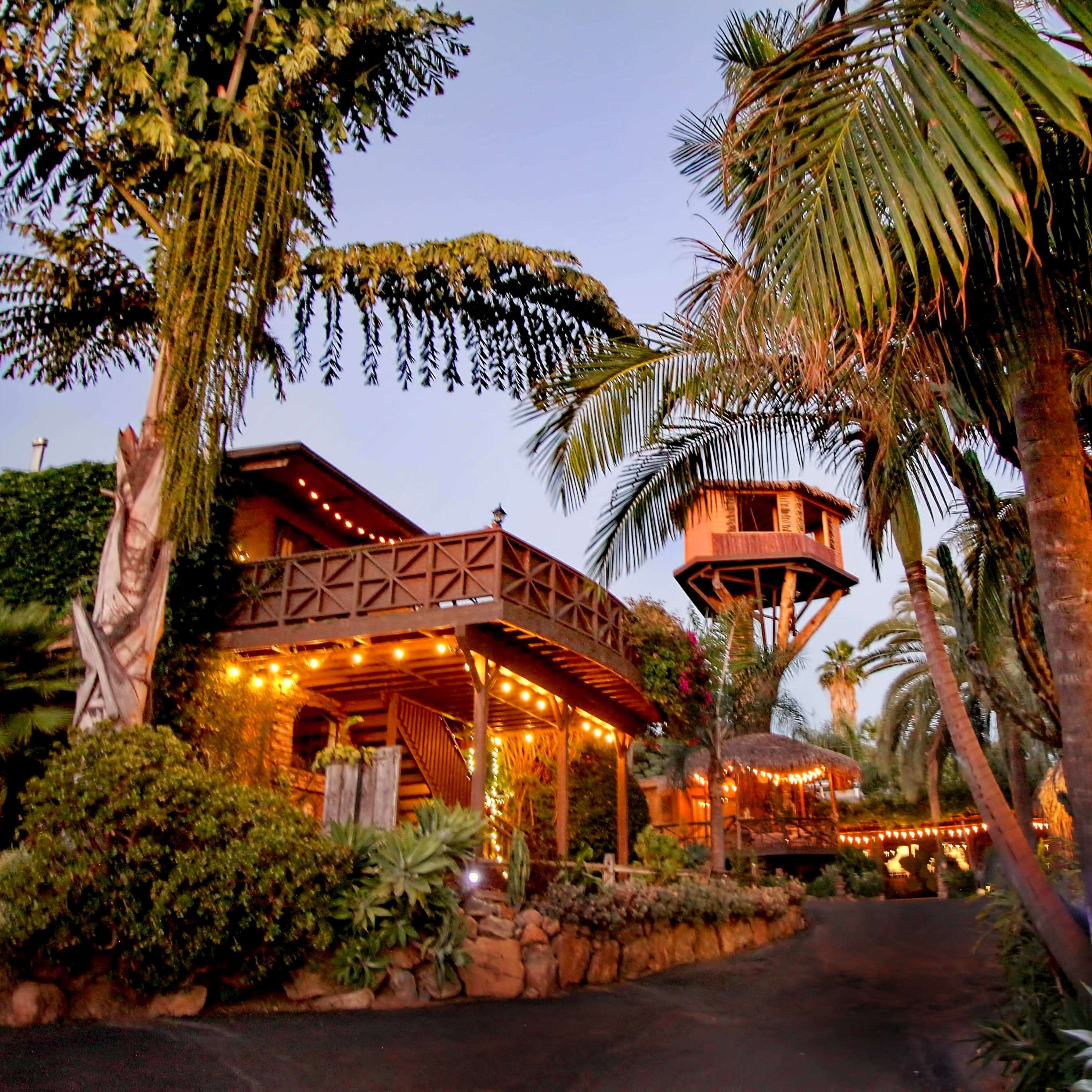 A tropical setting features a rustic wooden house with an elevated treehouse surrounded by palm trees and lush greenery, illuminated by lights.