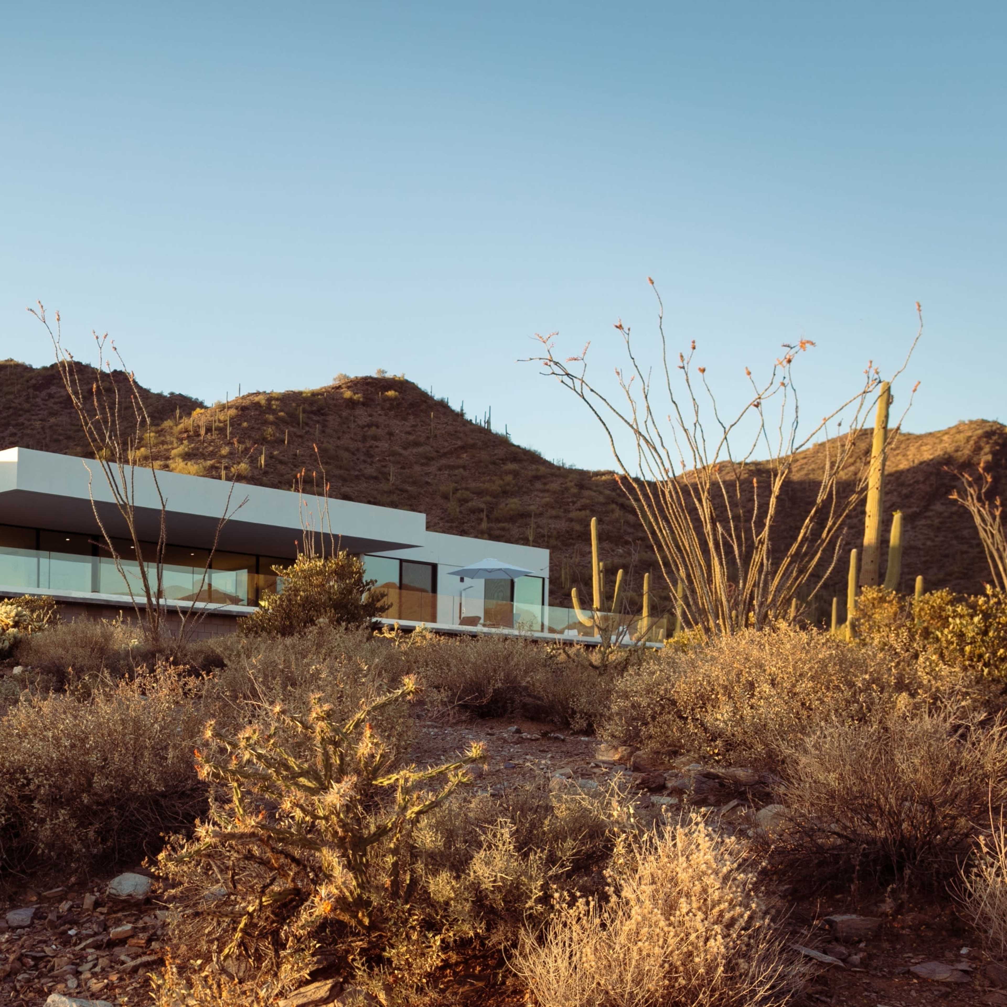 Contemporary desert retreat Image in , Cave Creek, AZ