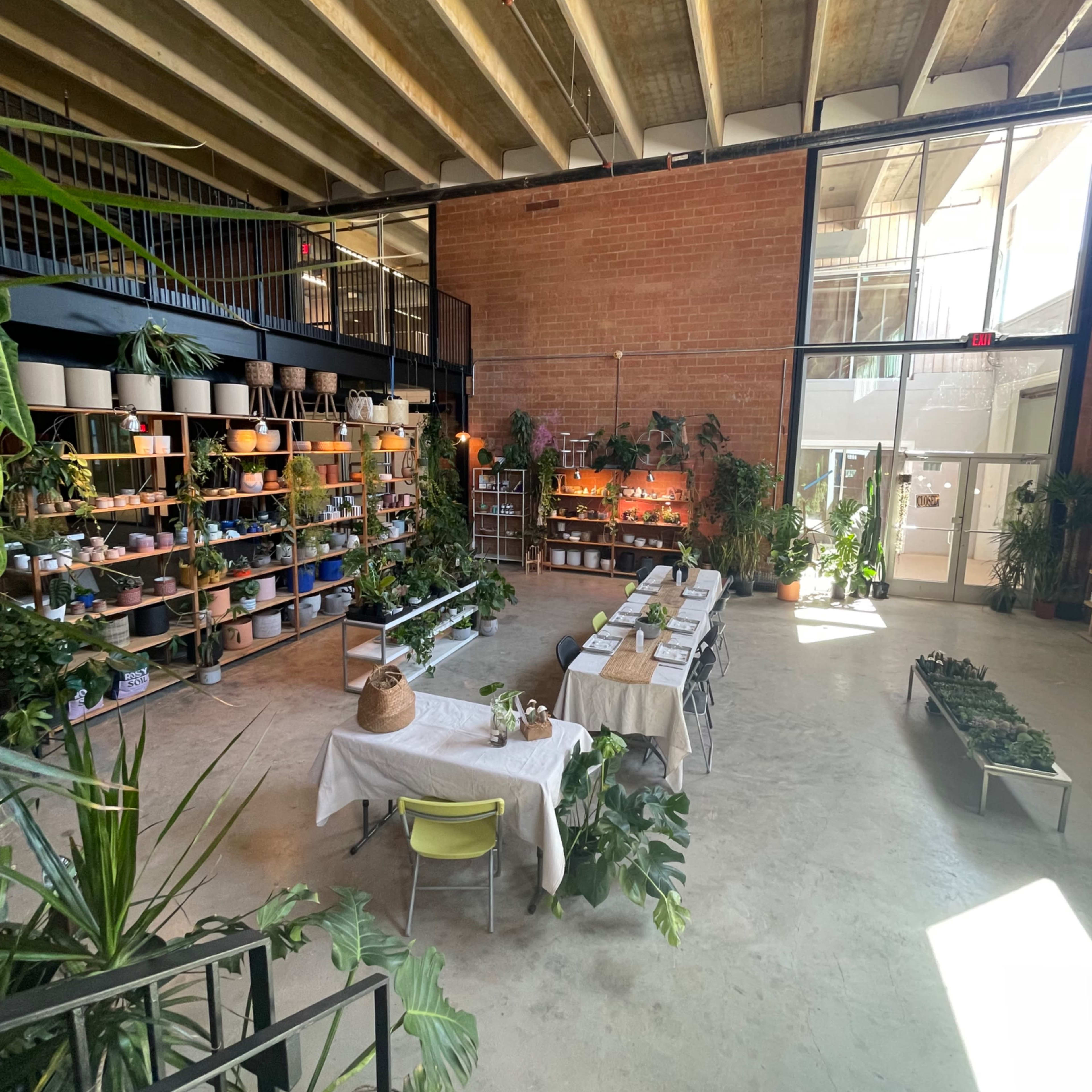 A spacious indoor plant shop with a long dining table set up, surrounded by various greenery and shelves filled with potted plants.