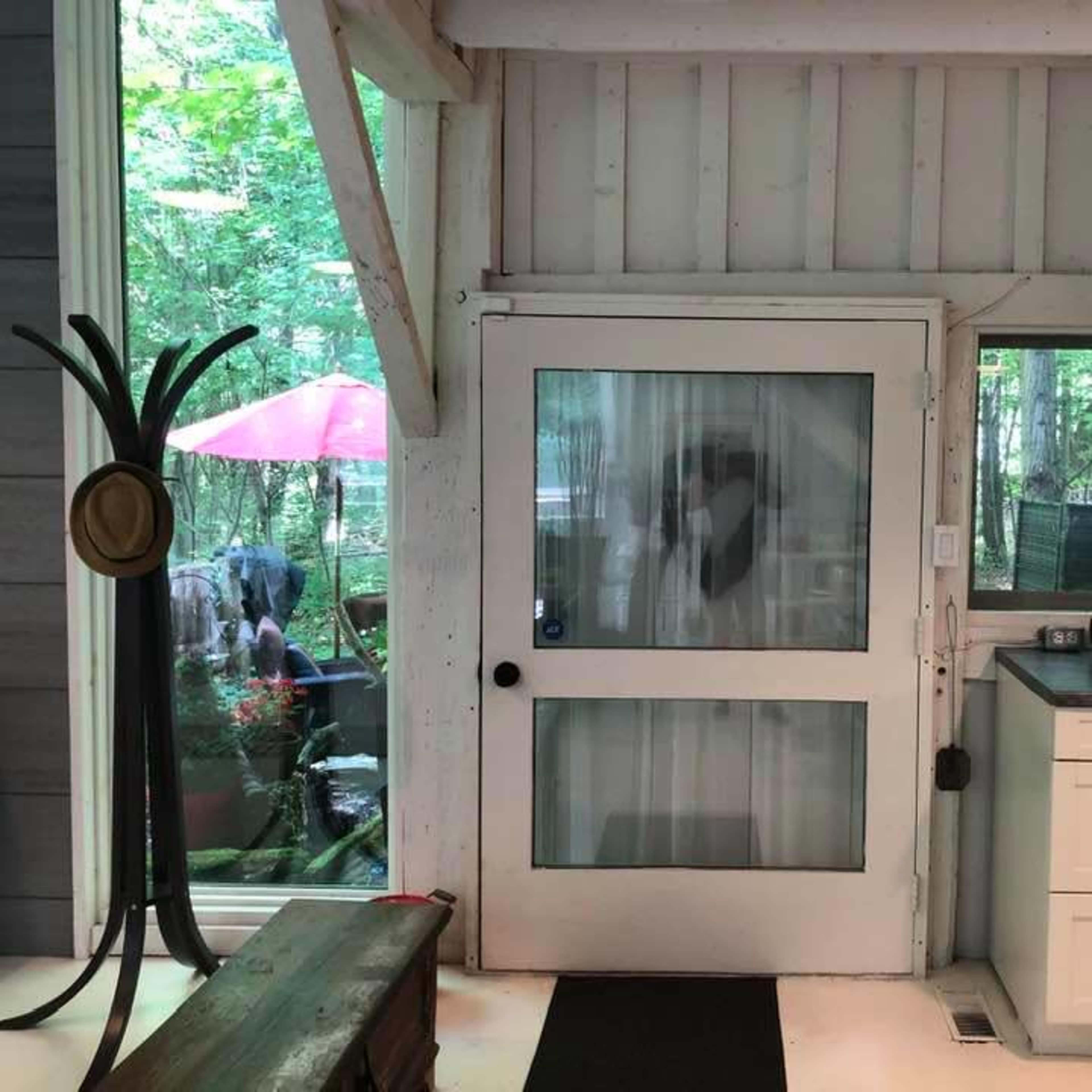 A light-colored door with a glass panel is visible, leading to an outdoor area surrounded by greenery and patio furniture.
