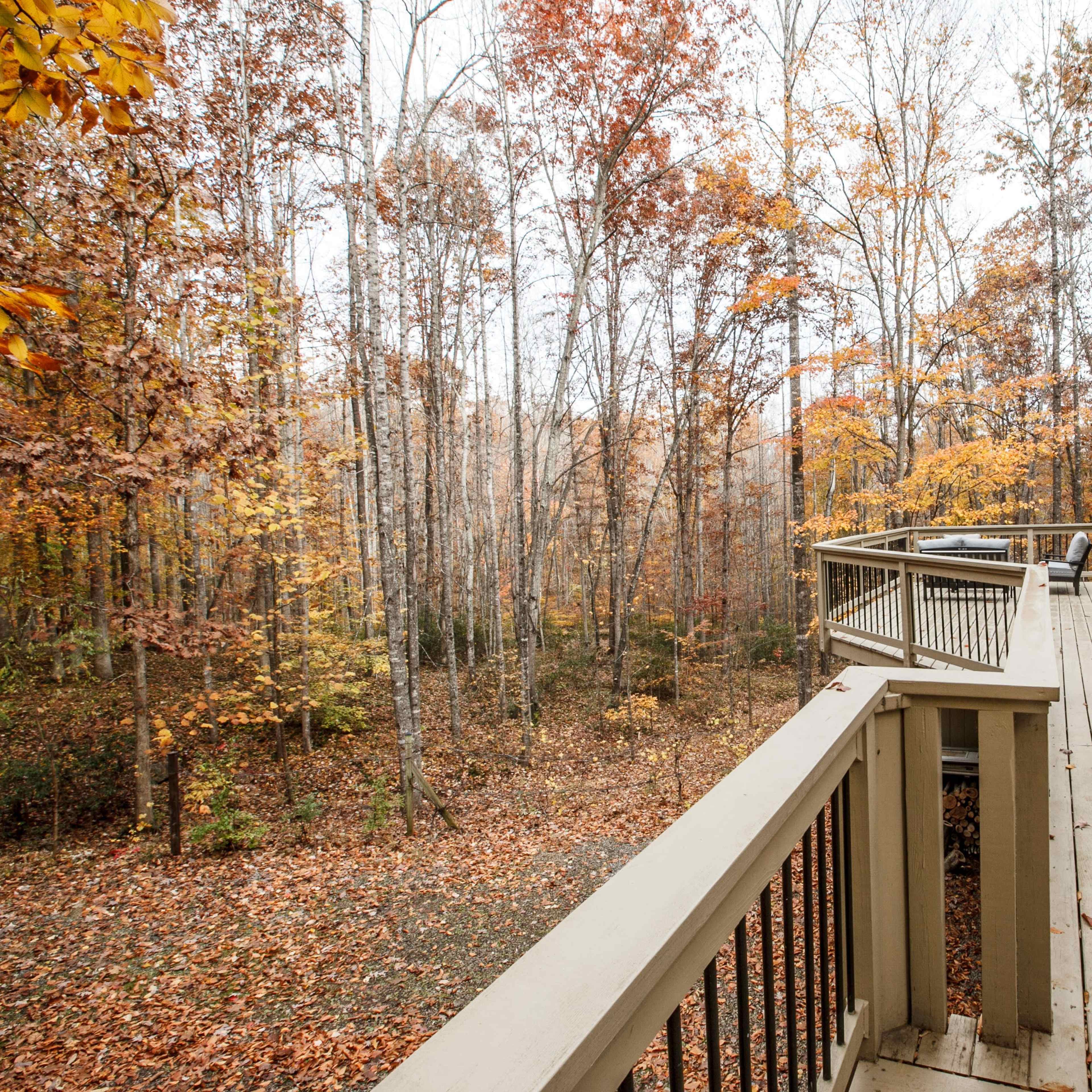 A wooden deck extending from a house, overlooking a forest with autumn leaves on the ground and trees.