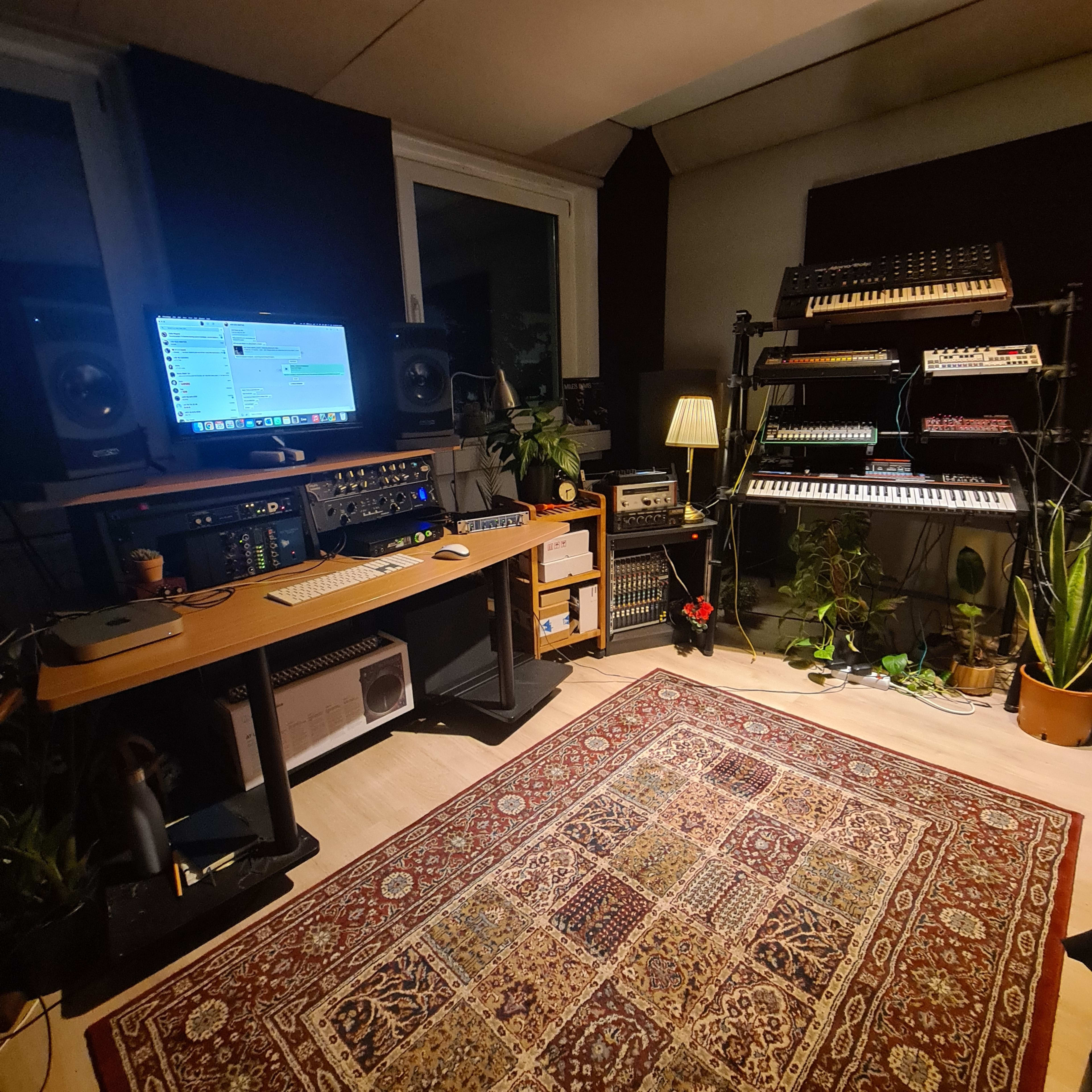 A music production studio equipped with various synthesizers, recording equipment, and a computer monitor within a well-organized space featuring plants and a decorative rug.