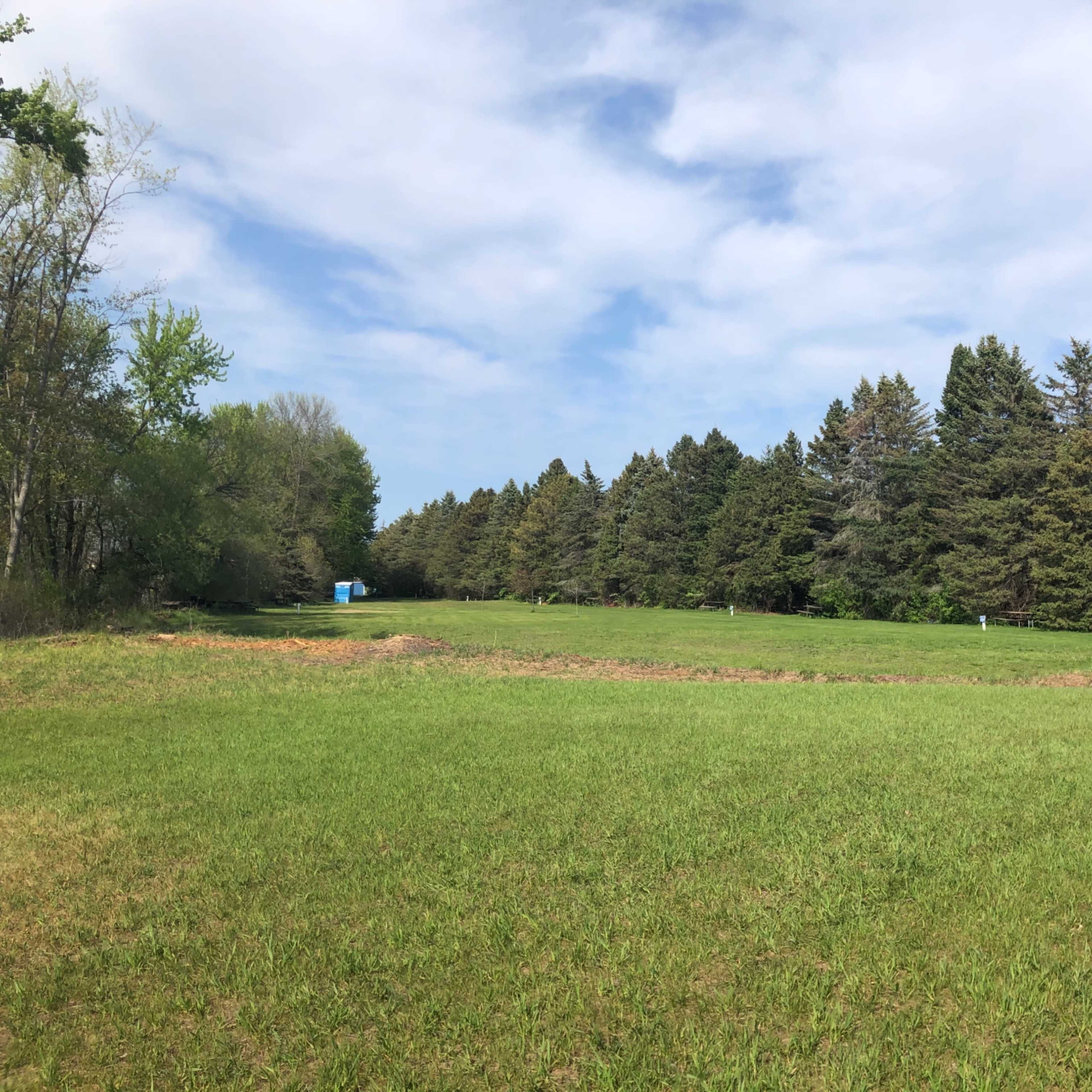 A grassy field bordered by a dense line of trees under a partly cloudy sky.