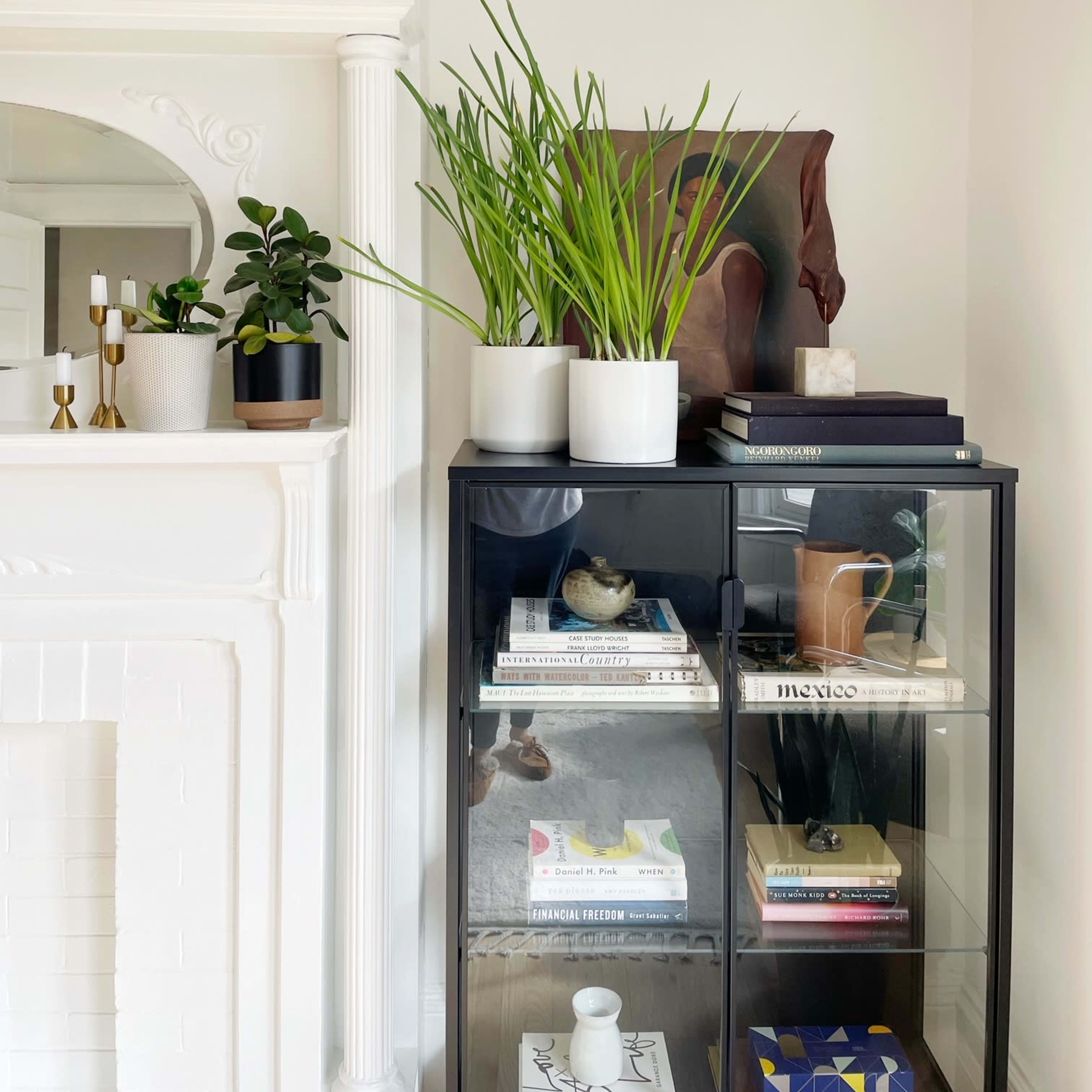 A bookshelf in a bright room, decorated with various potted plants, books, and a decorative item on top.
