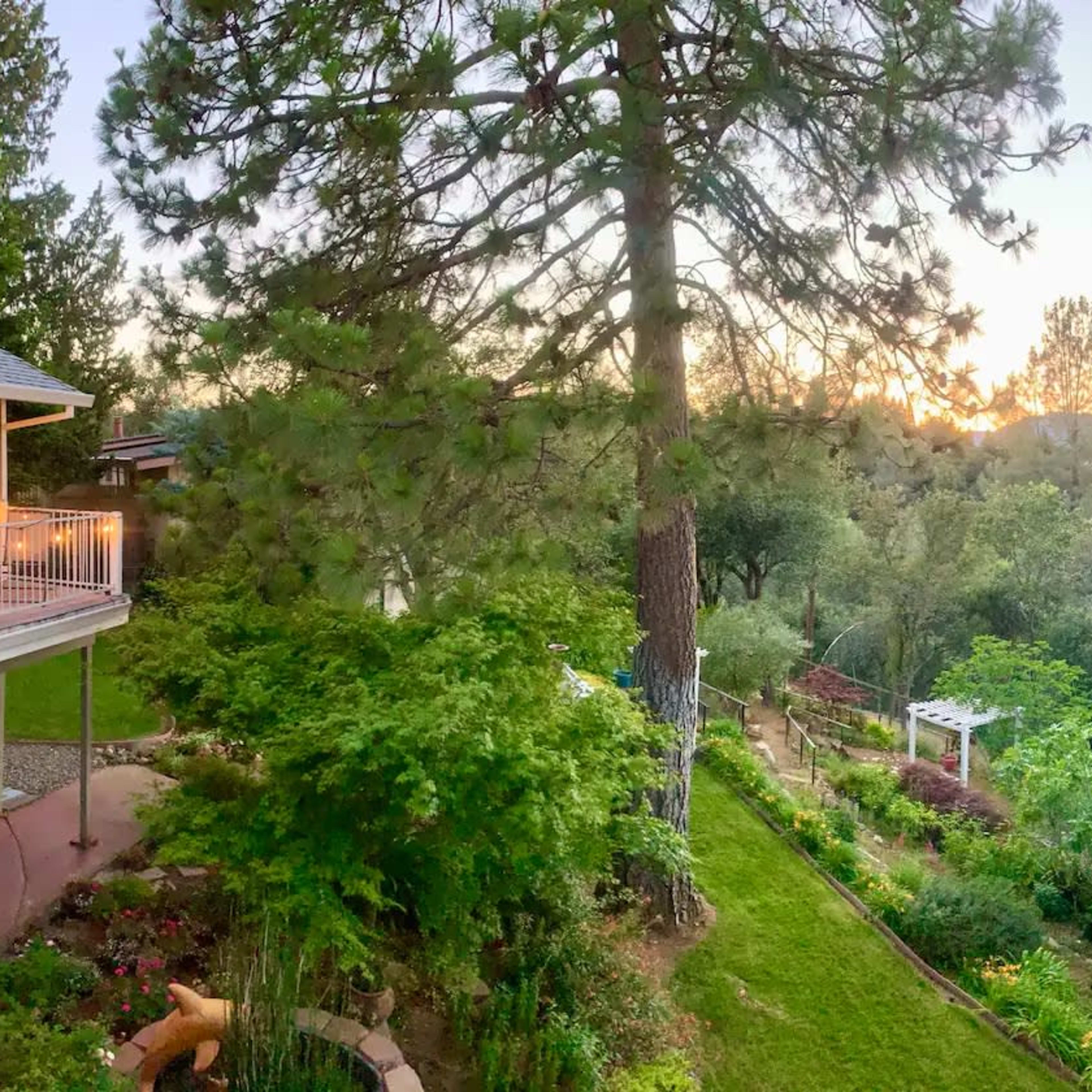 A scenic view of a garden with trees, a sloped lawn, and a sunset in the background.