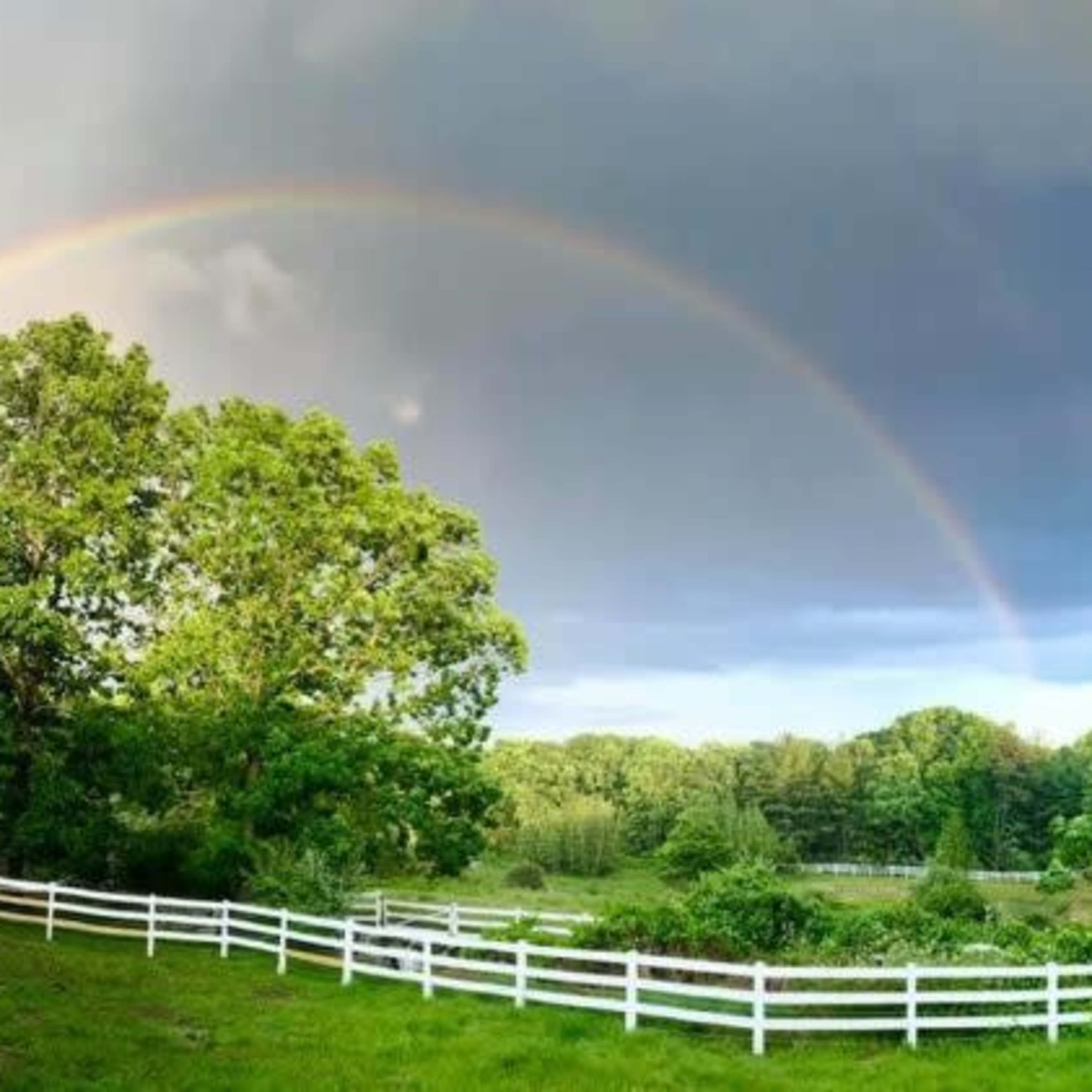 A vibrant rainbow arcs over a green landscape, framed by white fences and lush trees under a cloudy sky.