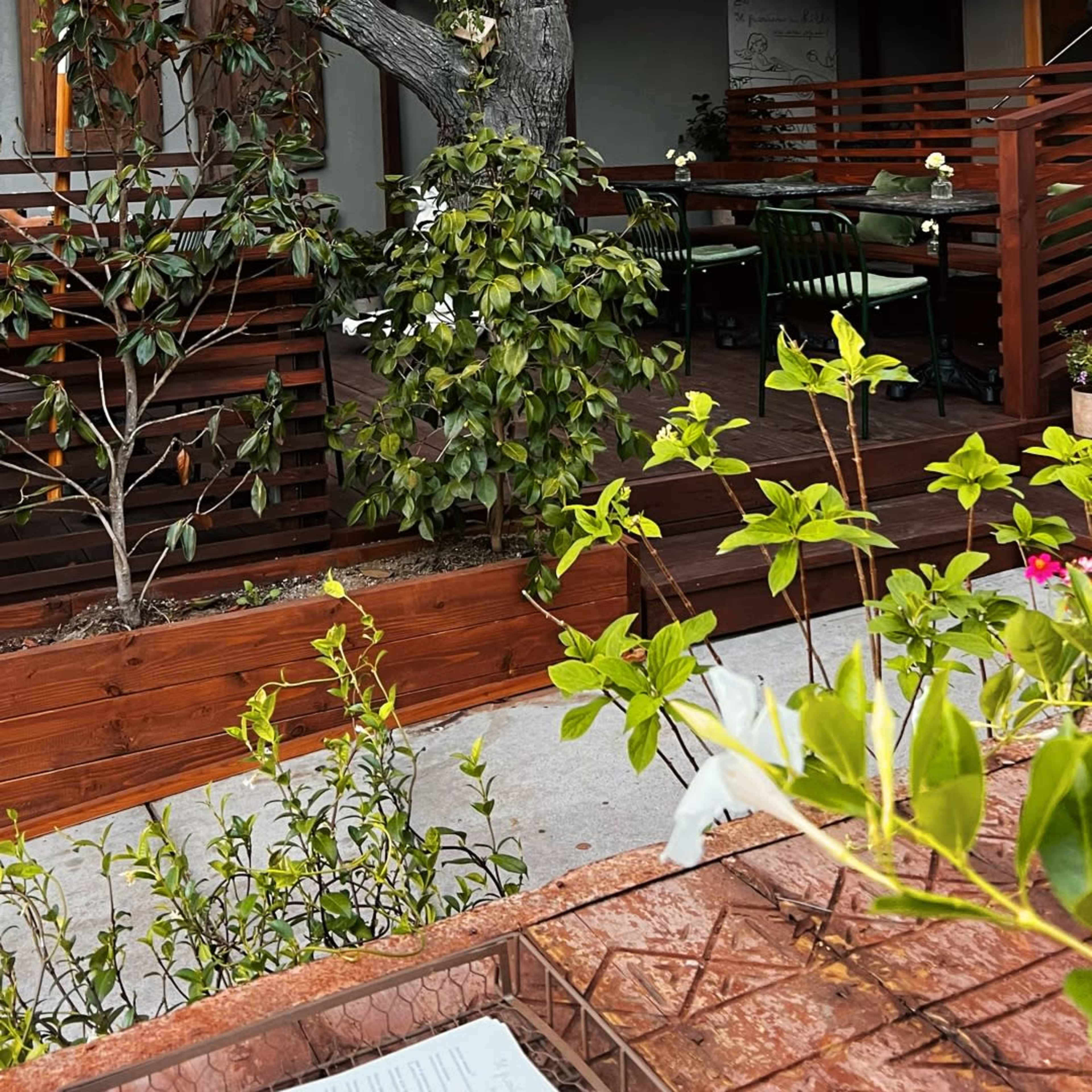 A patio area features wooden seating, a large tree, and flowering plants under a canopy with a lantern hanging above.