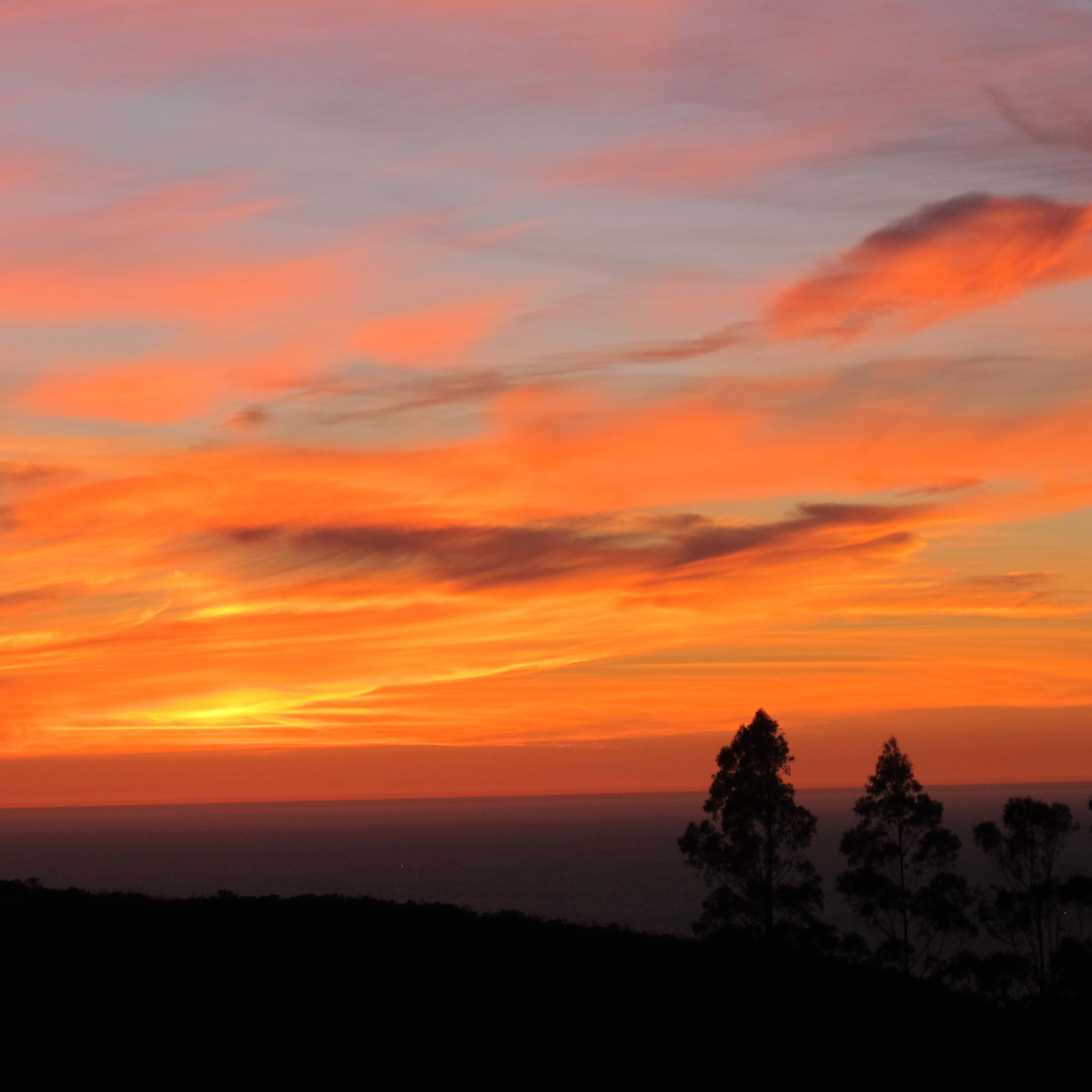 A vibrant sunset with clouds in shades of orange and pink, silhouetted by trees in the foreground.