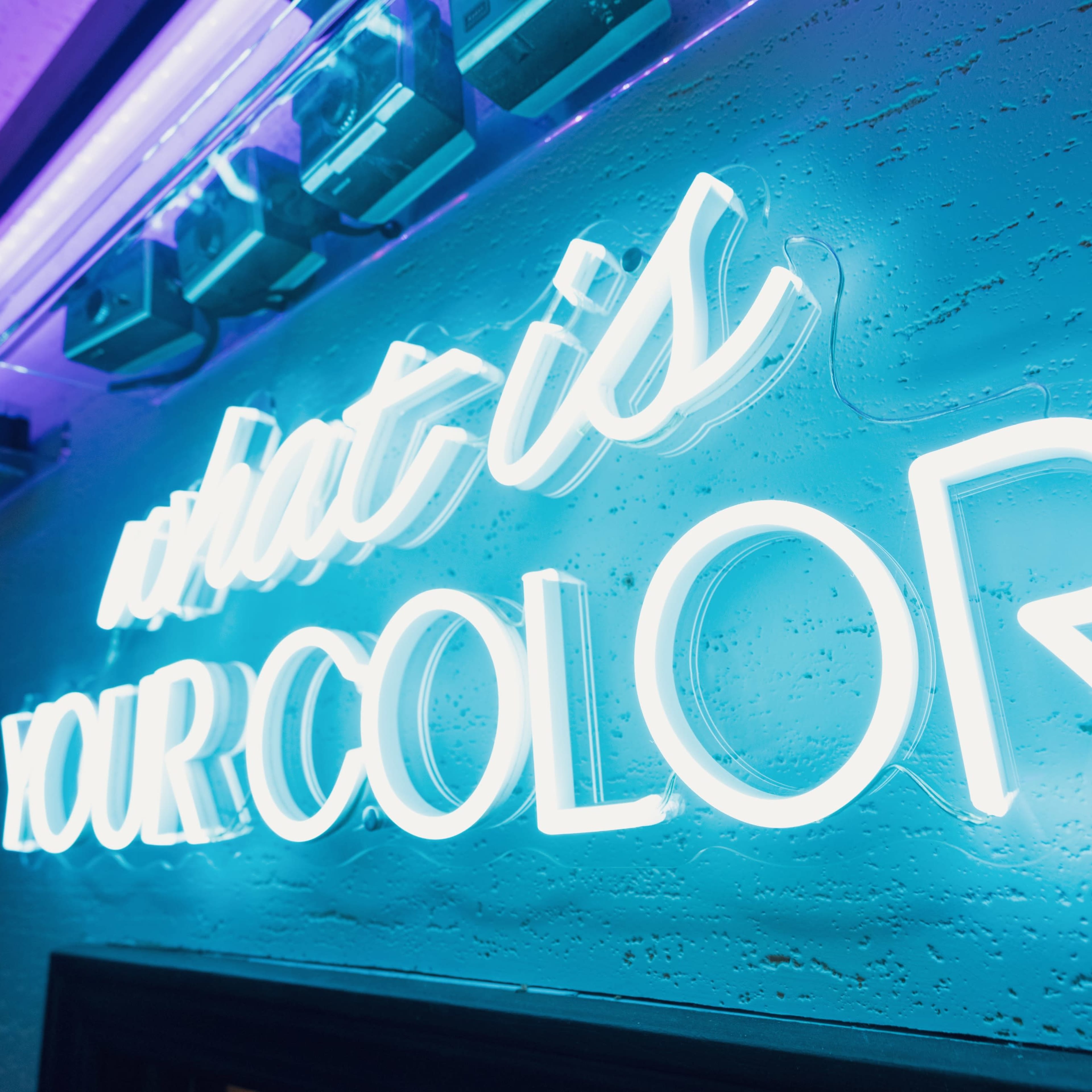 A neon sign that reads "what is YOUR COLOR?" is illuminated against a textured blue wall.