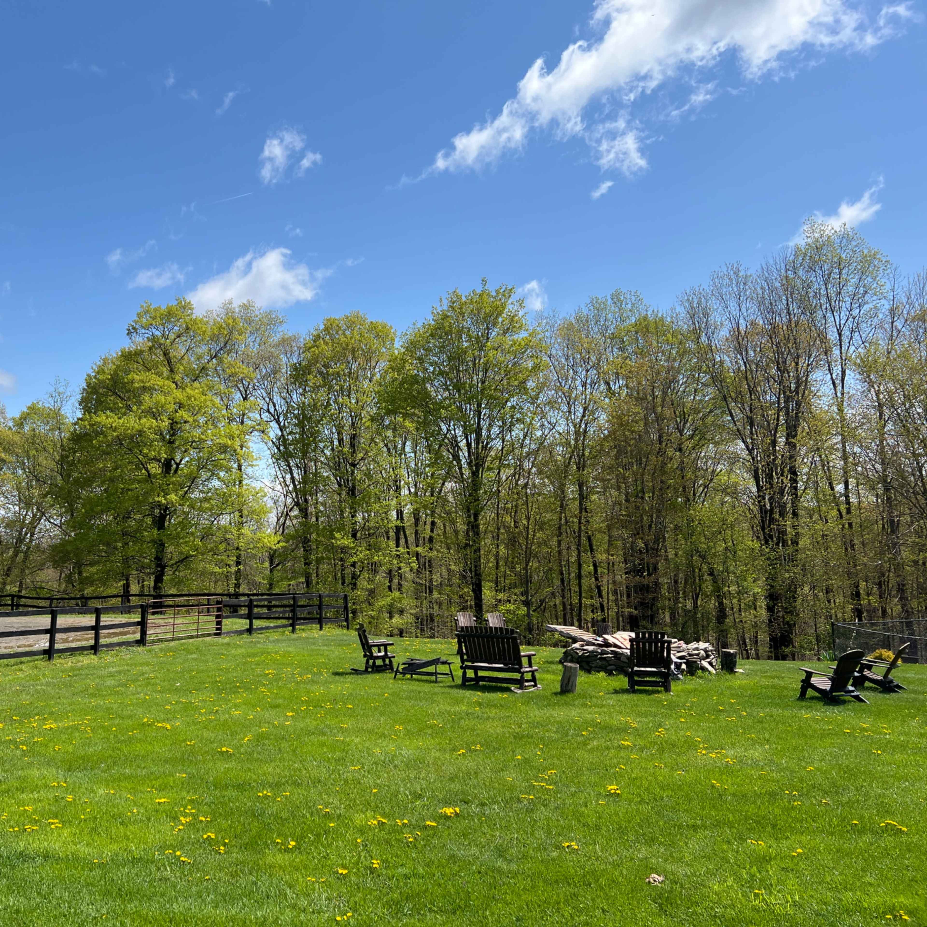 A grassy area with several wooden chairs arranged around a fire pit, bordered by a wooden fence and surrounded by trees under a partly cloudy sky.