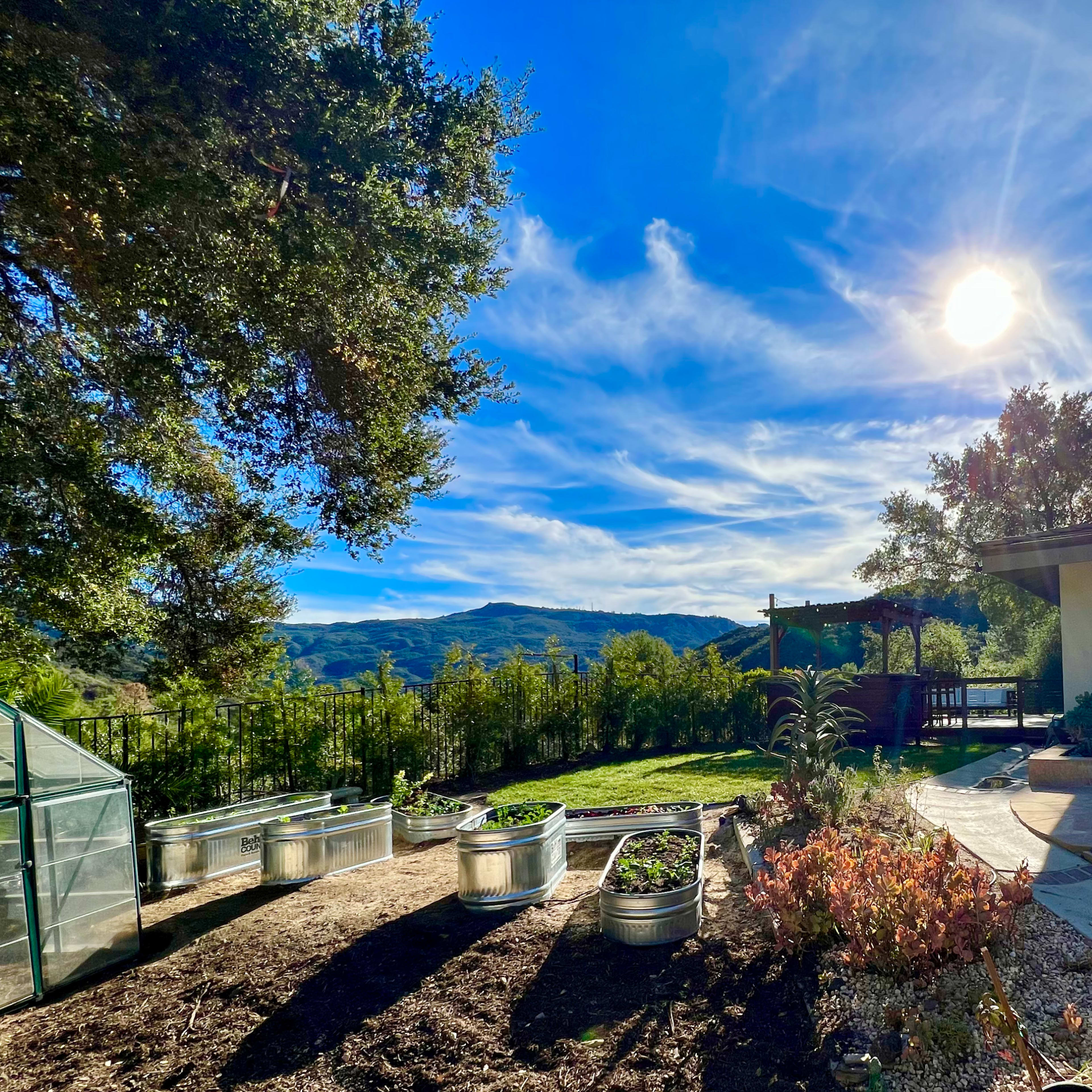 A garden with raised metal planters and a greenhouse is set beside a house, with a palm tree and mountains visible in the background under a clear sky.