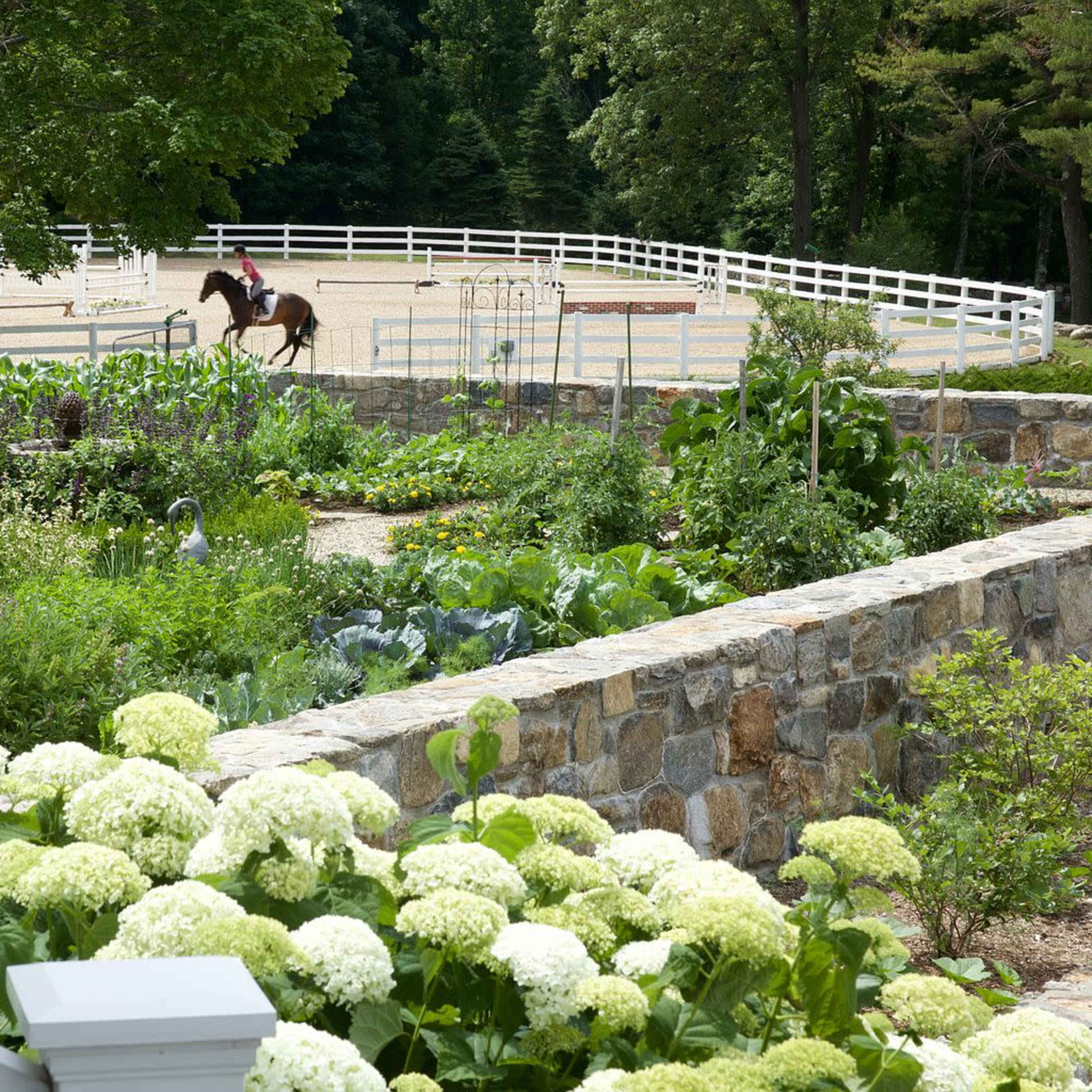 A horse is trotting in an outdoor riding arena surrounded by lush greenery and well-maintained flower beds.