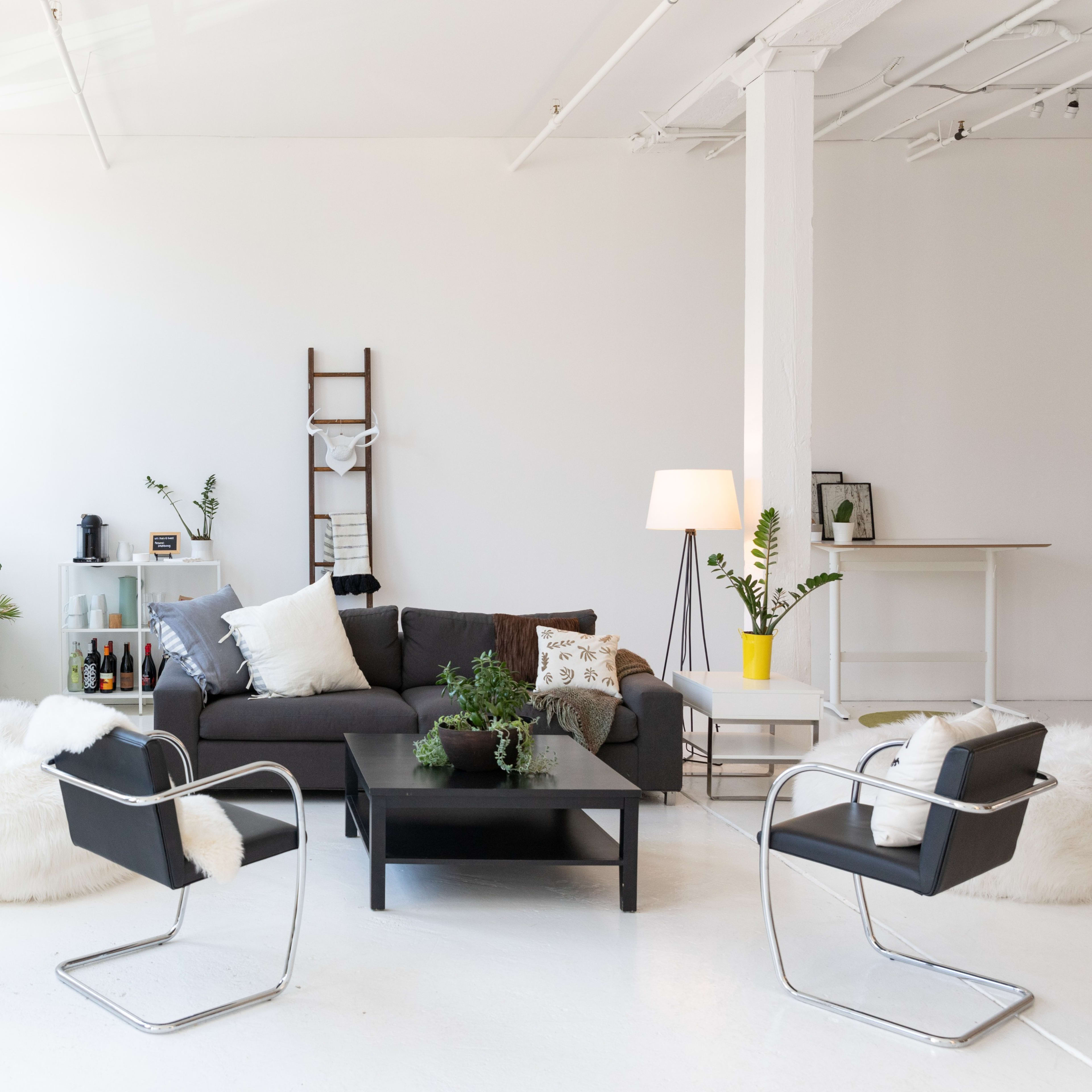 A bright, modern living space featuring a gray sofa, a black coffee table, two black chairs, and lush plants in minimalist decor.