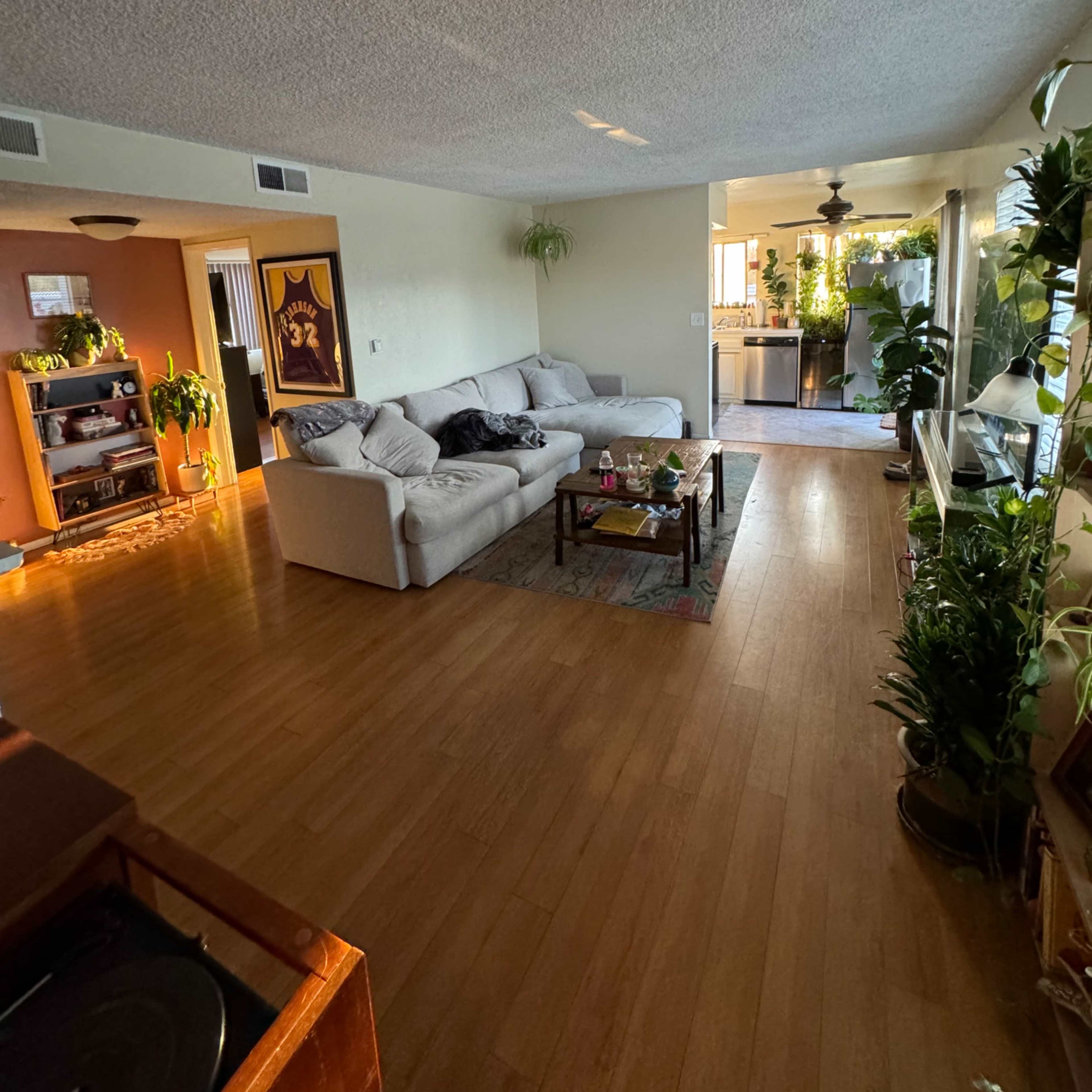 Beverly Hills Penthouse with Entire Rooftop and Unlimited Natural Light Image in Beverly Hills, Beverly Hills, CA