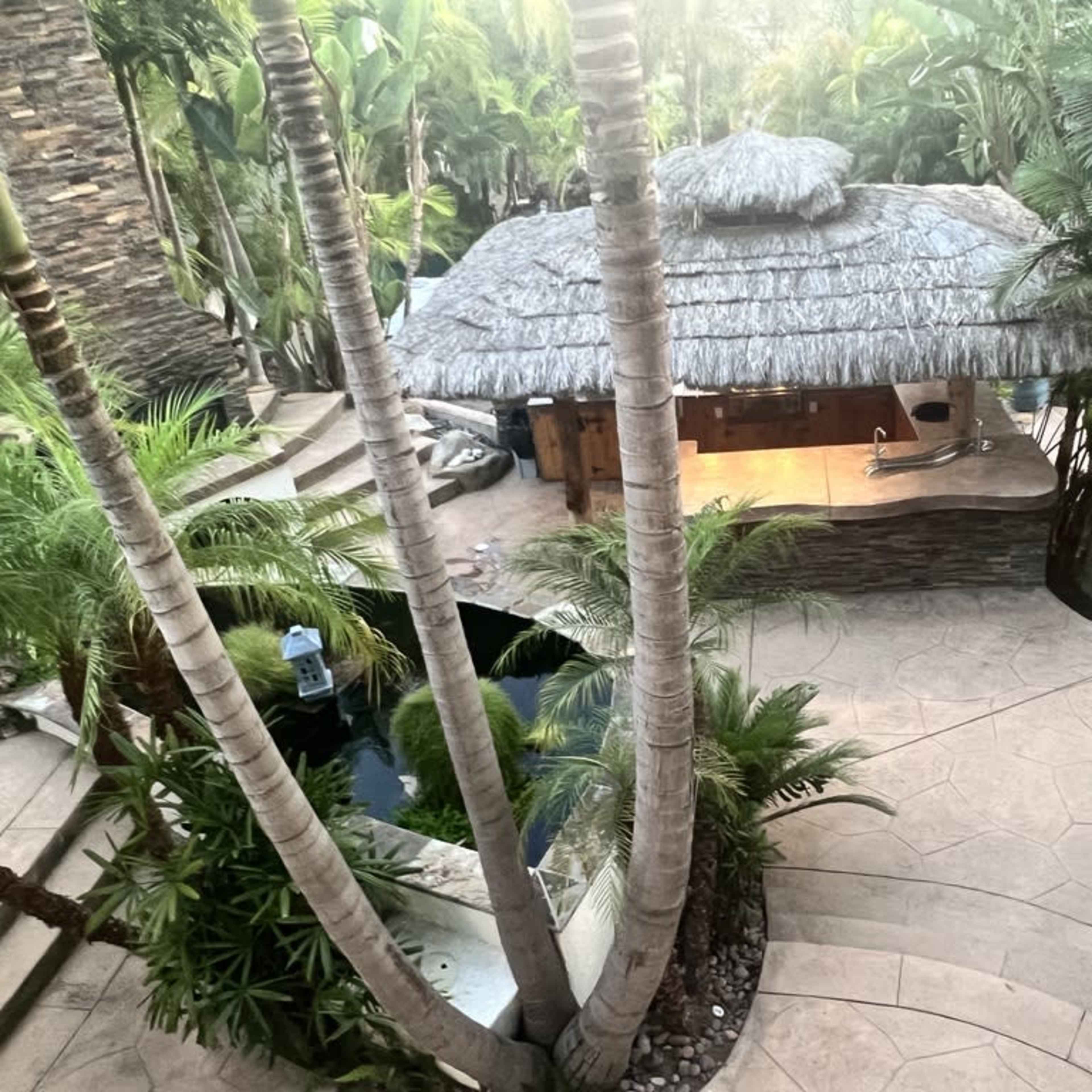 A thatched-roof hut surrounded by tropical greenery and a water feature, with stone pathways leading towards it.