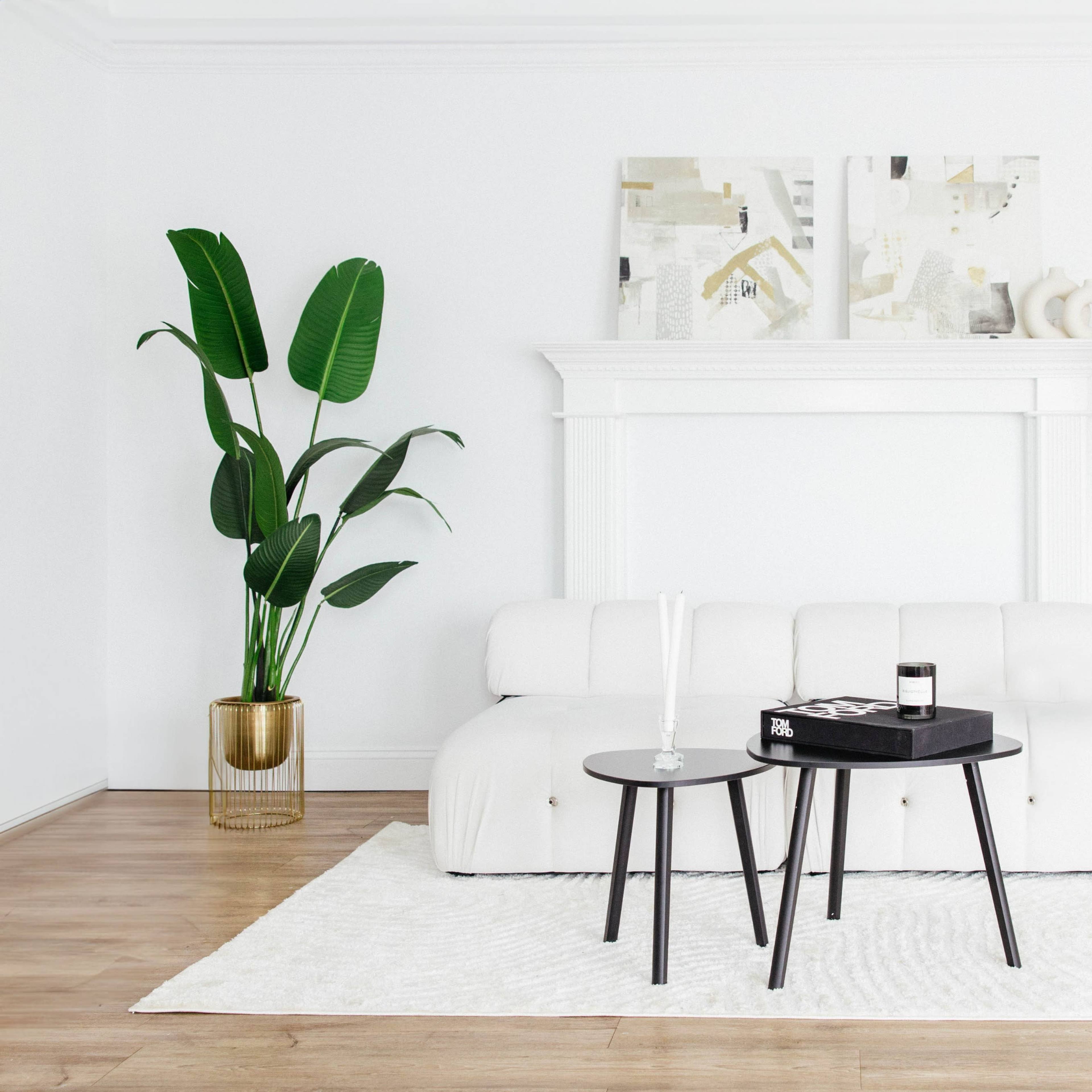 A minimalist living room with a white sofa, two black tables, a large houseplant, and decorative wall art.