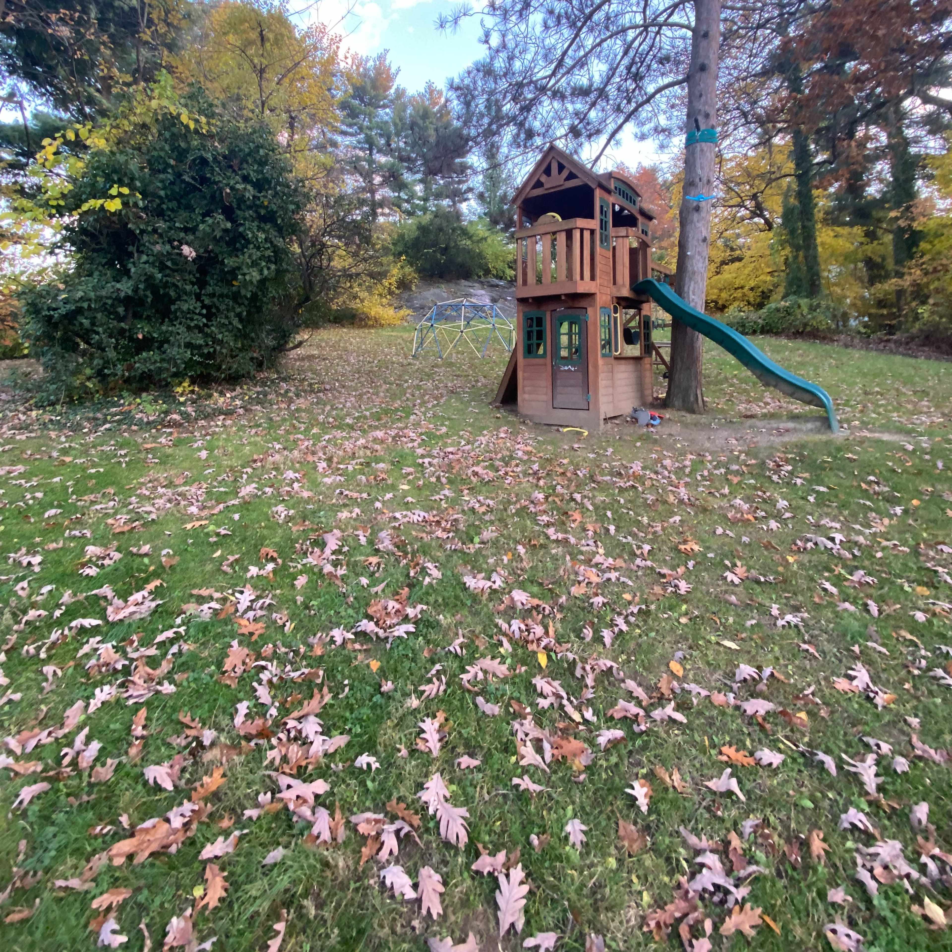 A wooden playhouse with a slide stands in a grassy area surrounded by fallen leaves and trees.