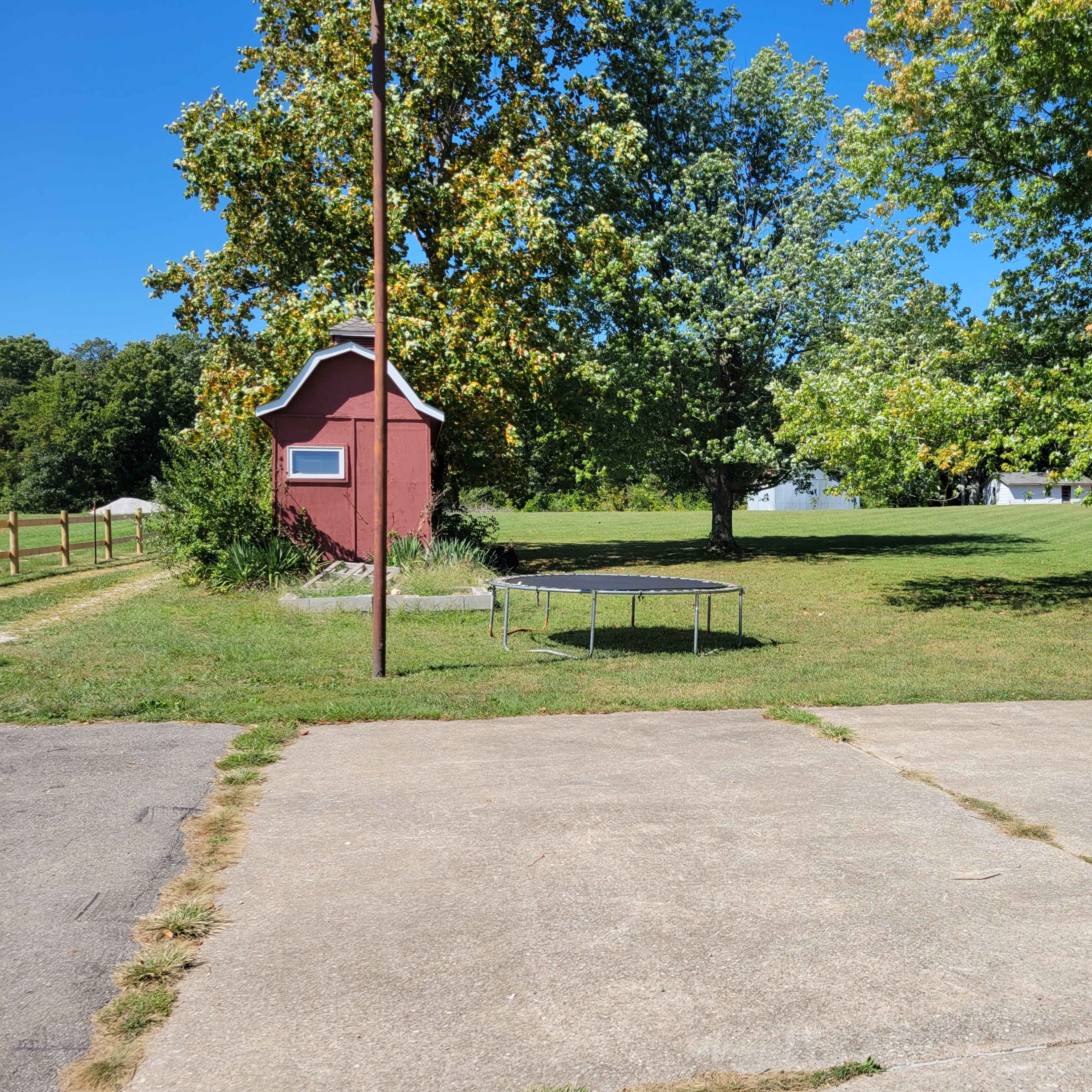 A grassy yard with a red shed, a trampoline, and a large tree, set against a clear blue sky.