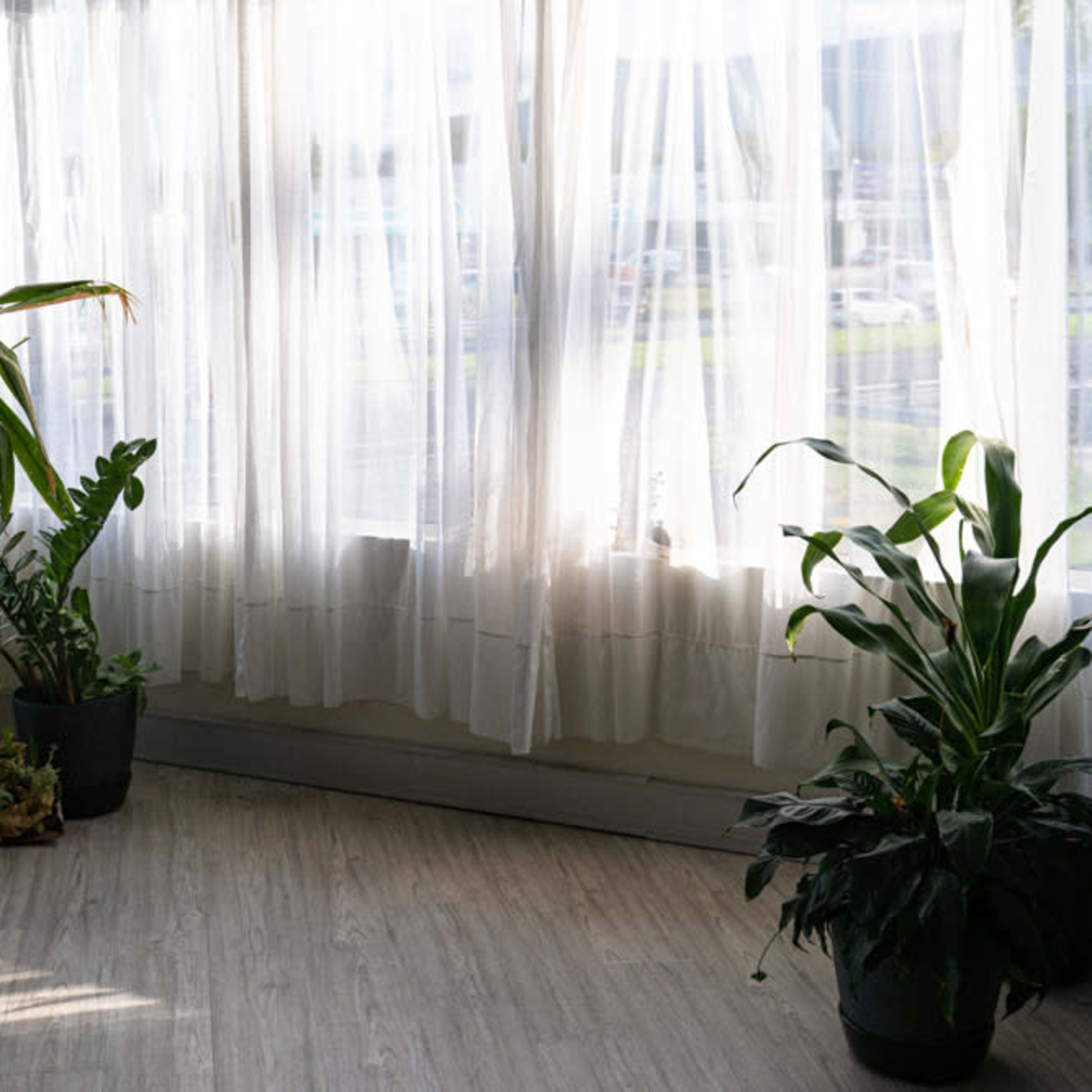 A large mirror stands beside two potted plants on a lightly textured floor, with sunlight filtering through sheer white curtains.